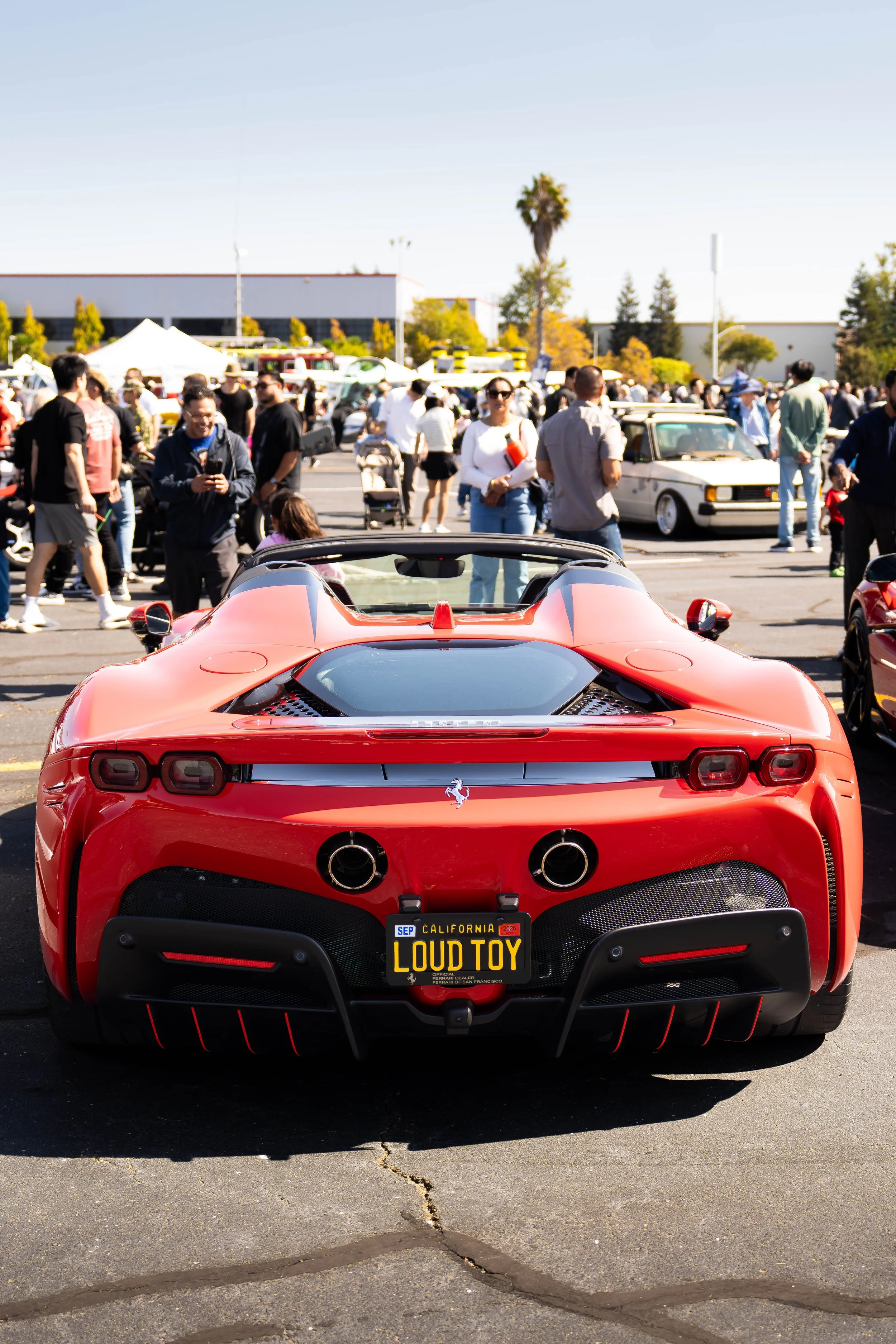 A7R04375.jpg