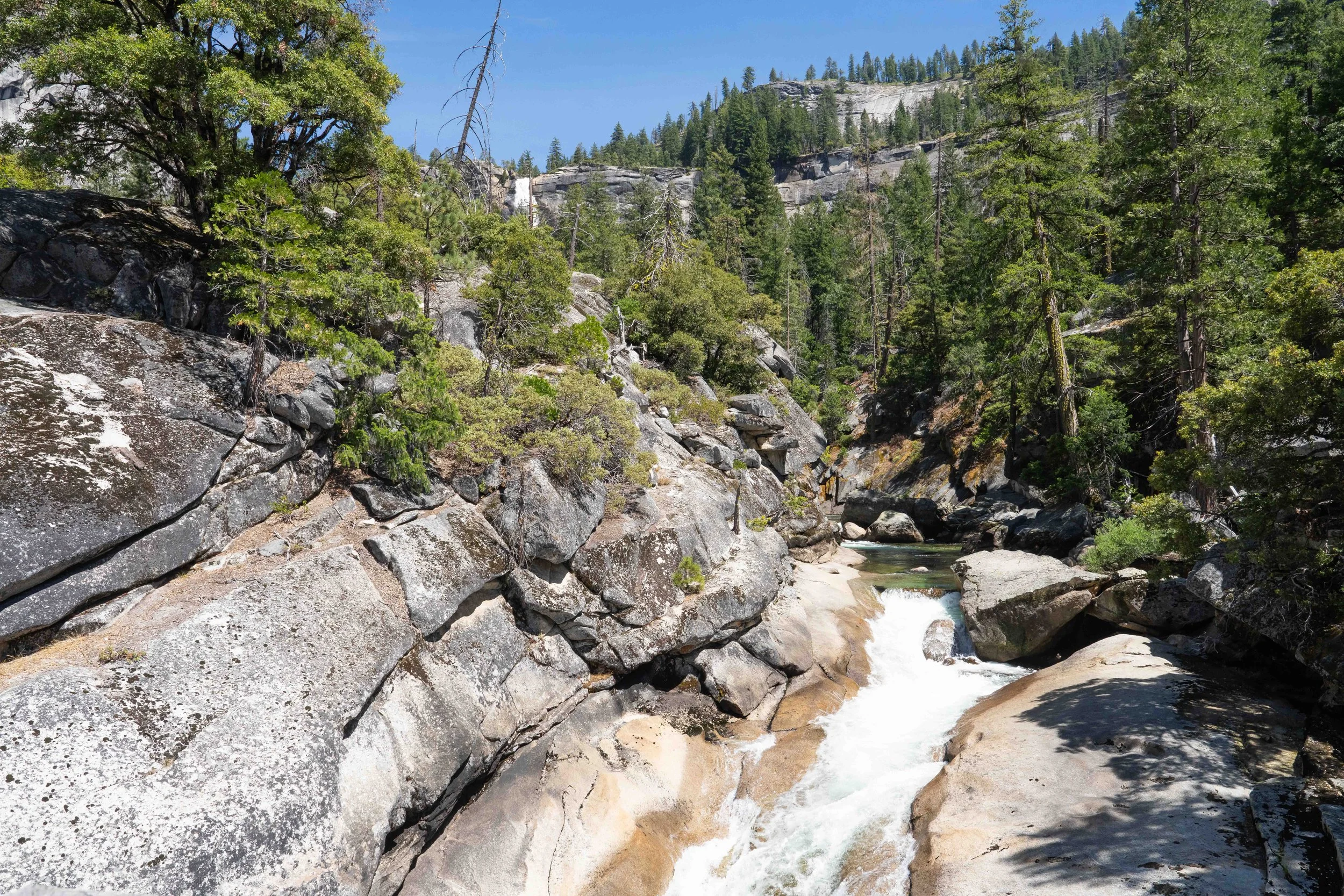 A rocky stream in Yosemite's forested mountain landscape with pine trees, cliffs, and a blue sky.