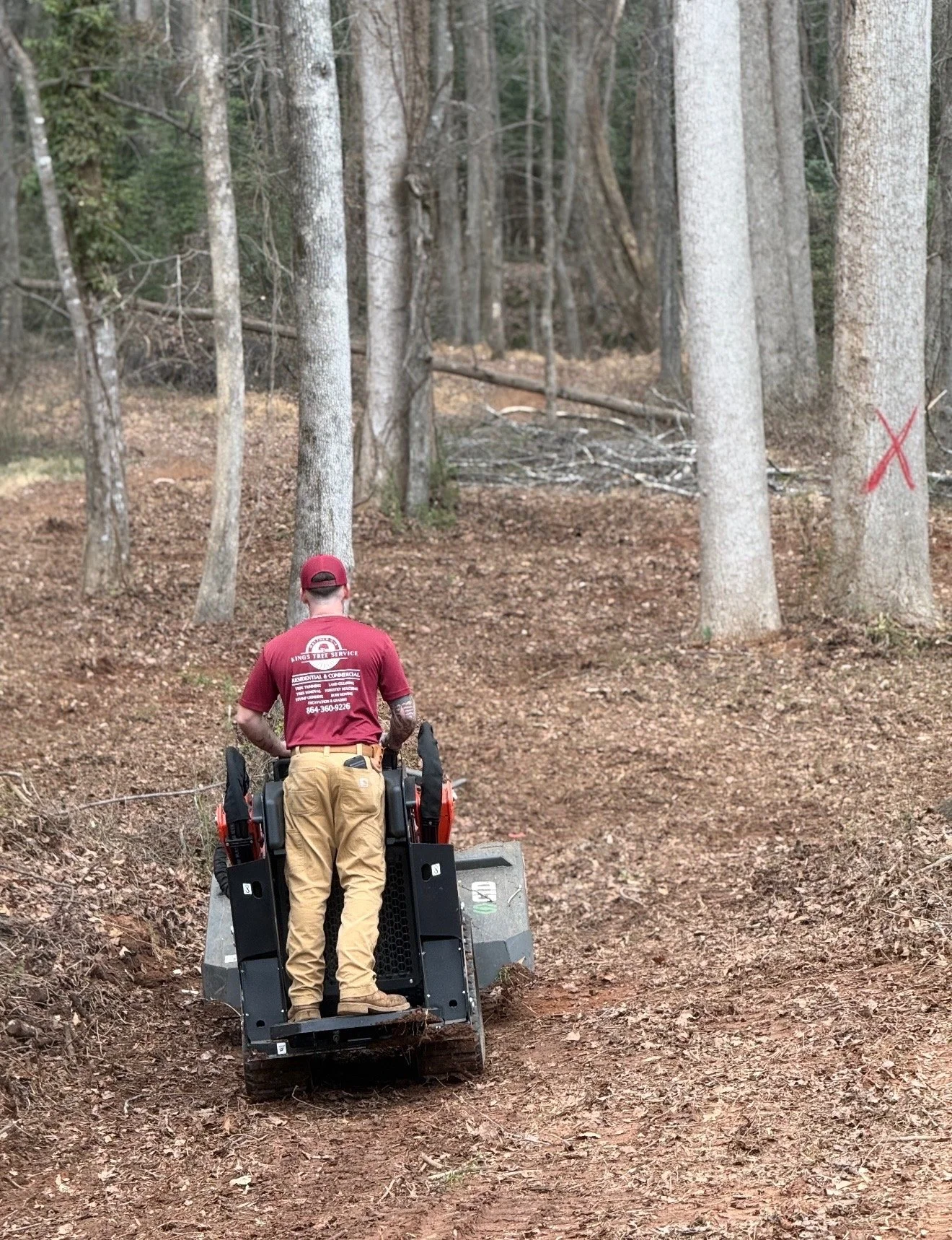 Brush Mowing