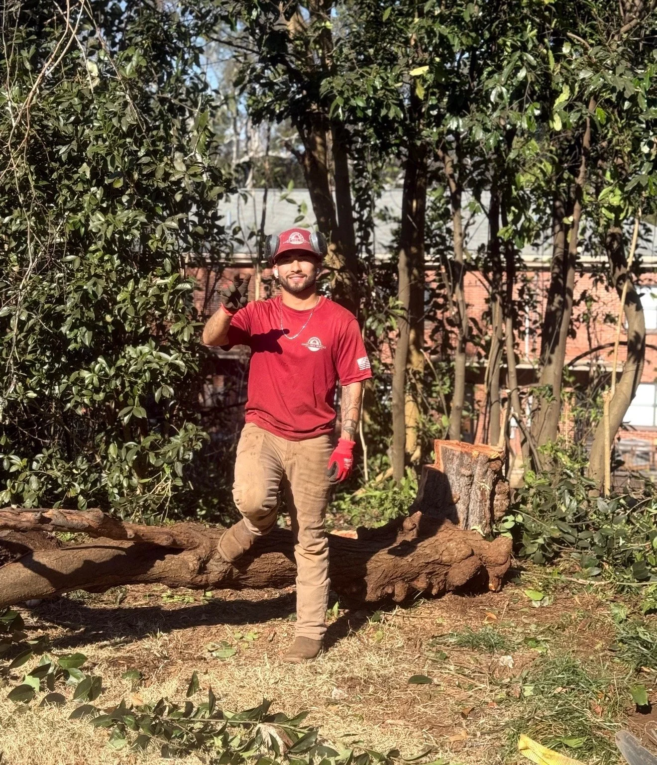 Kings Tree Service crew member on a tree removal job.