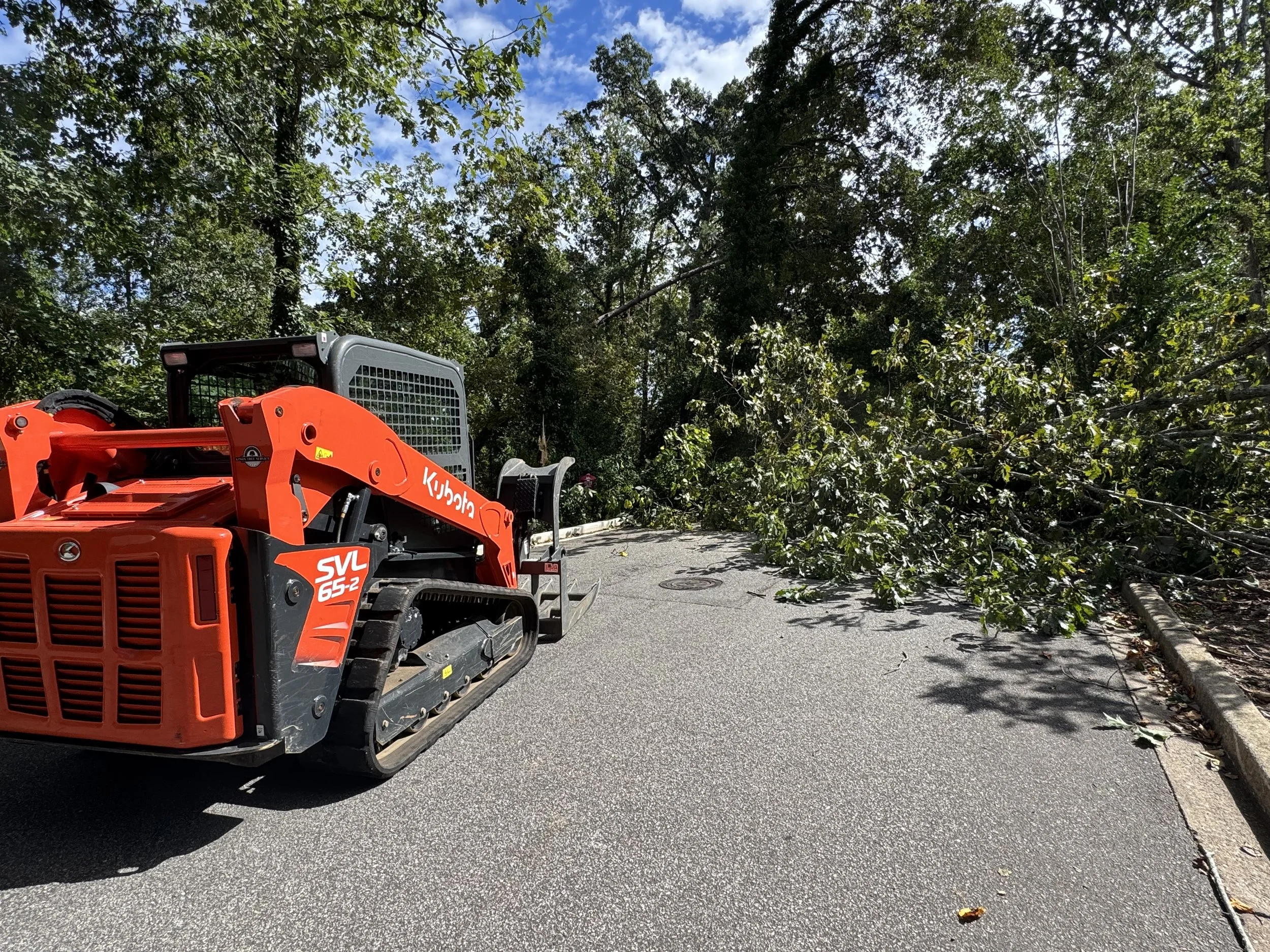 Emergency Tree Service