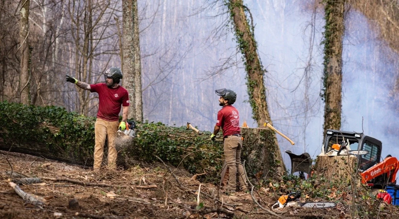 Land Clearing 