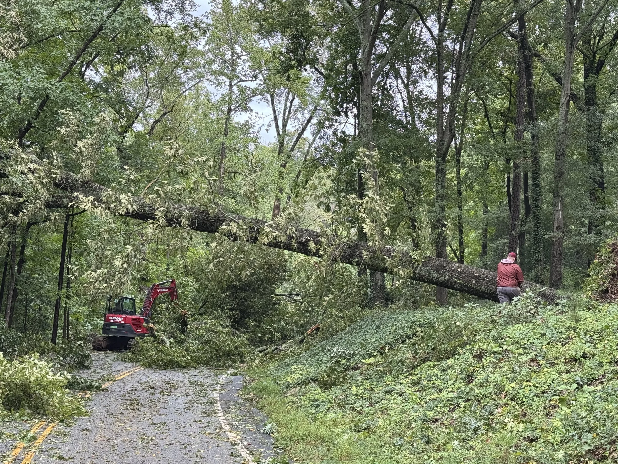 Blocked Road