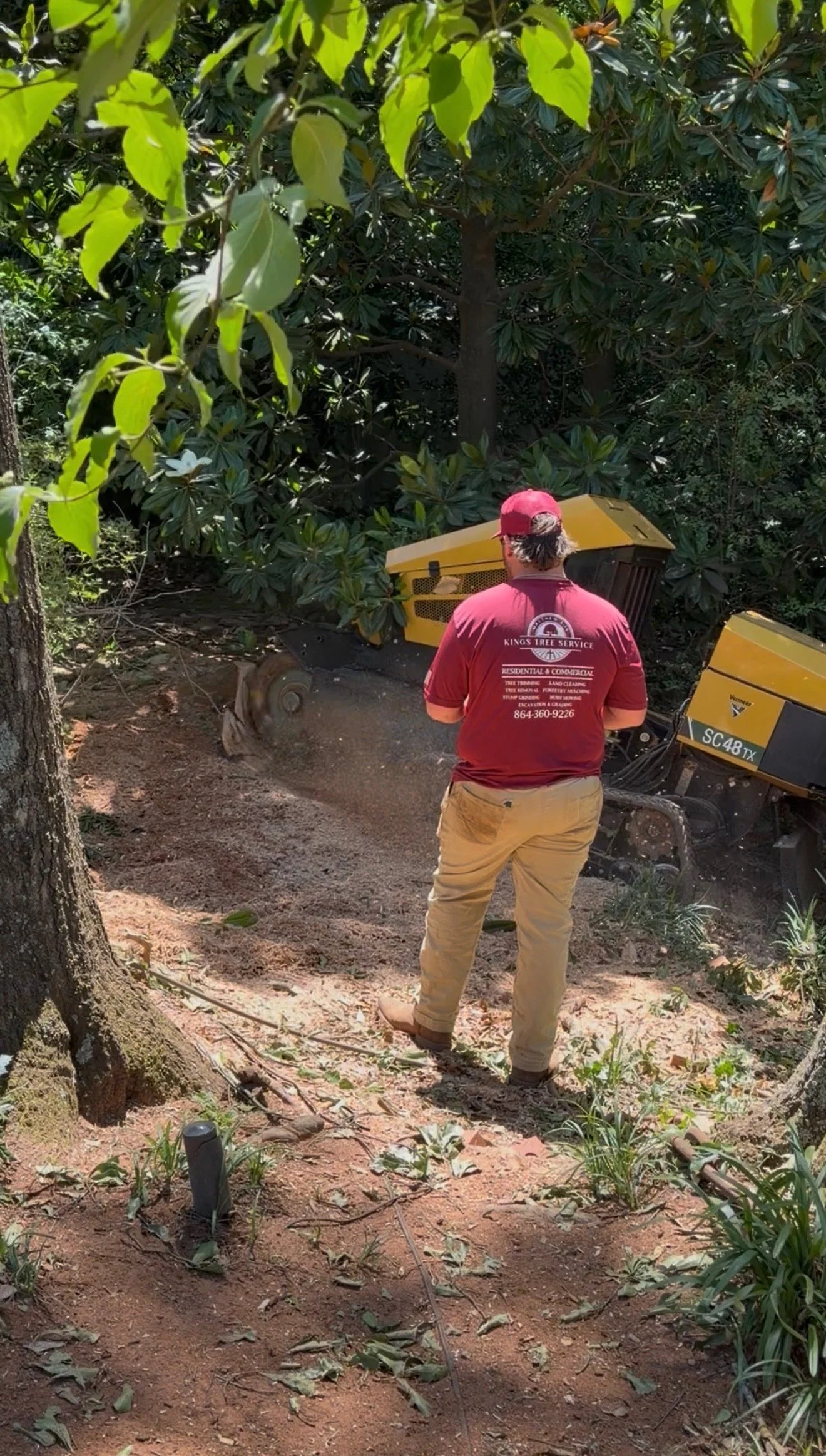 Stump Grinding