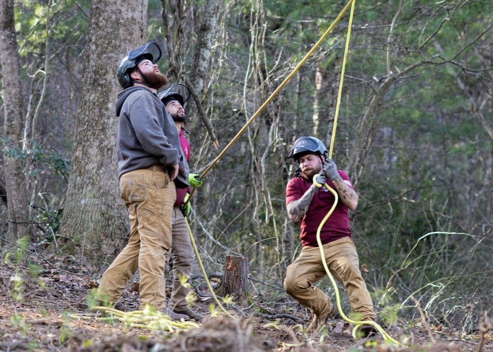 Kings Tree Service crew safely and efficiently roping limbs.