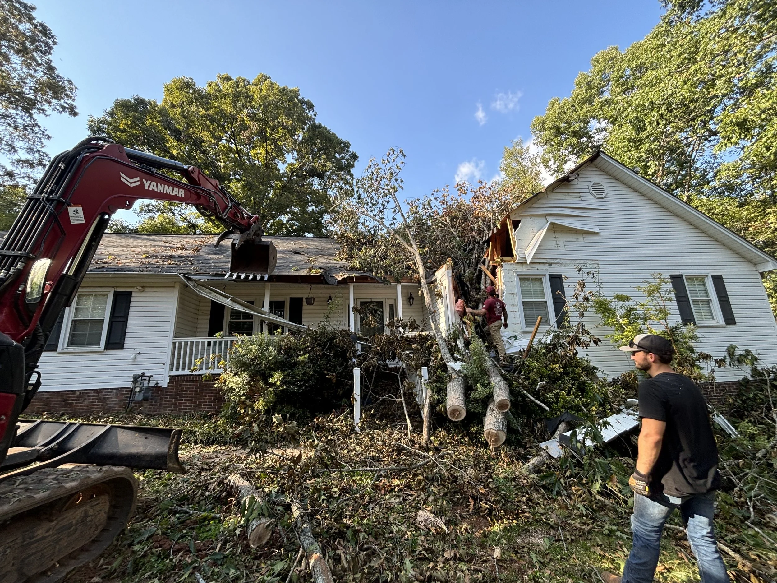 Fallen Tree on House