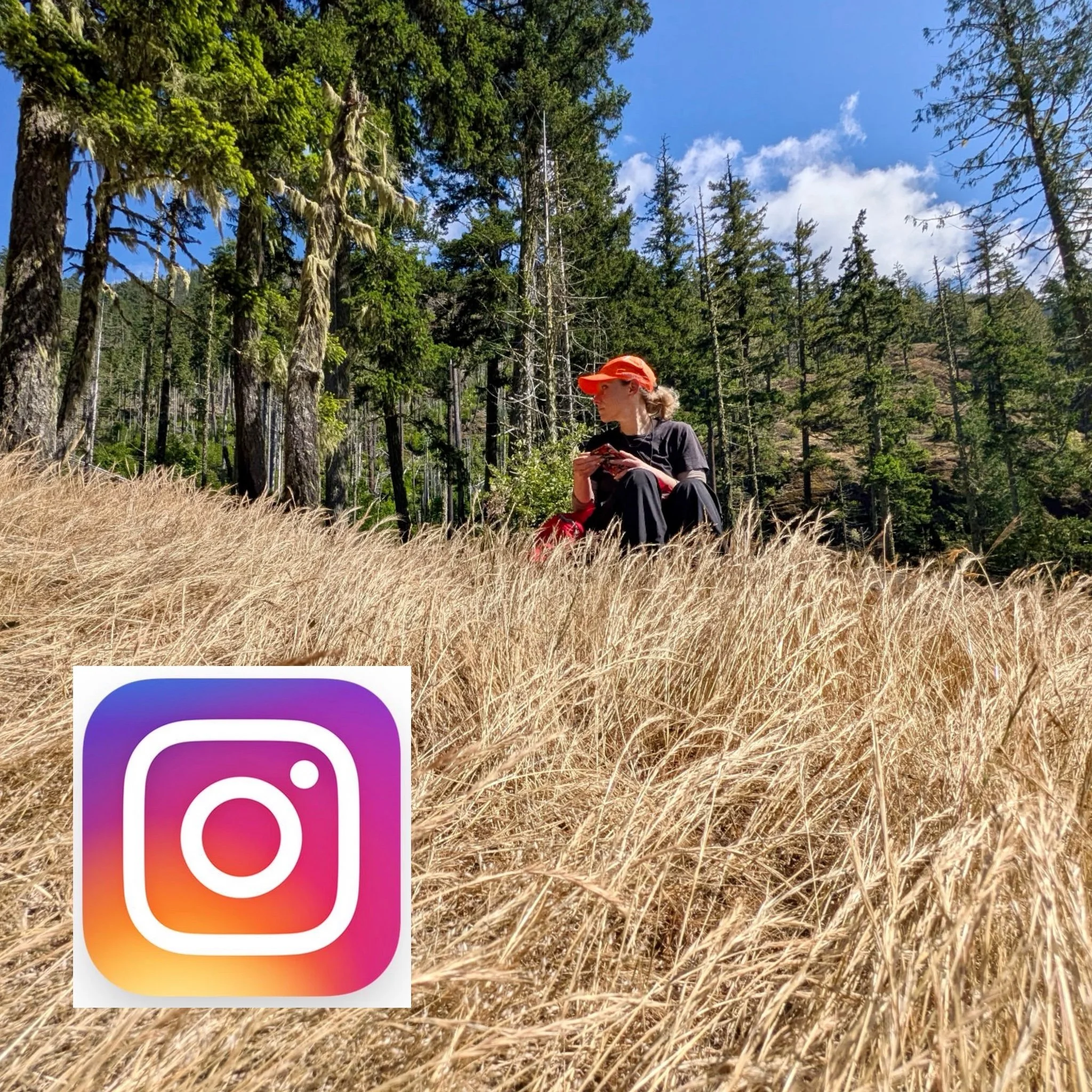 A woman with an orange hat sitting in a grassy field, surrounded by tall trees, with the Instagram logo partially visible in the foreground.