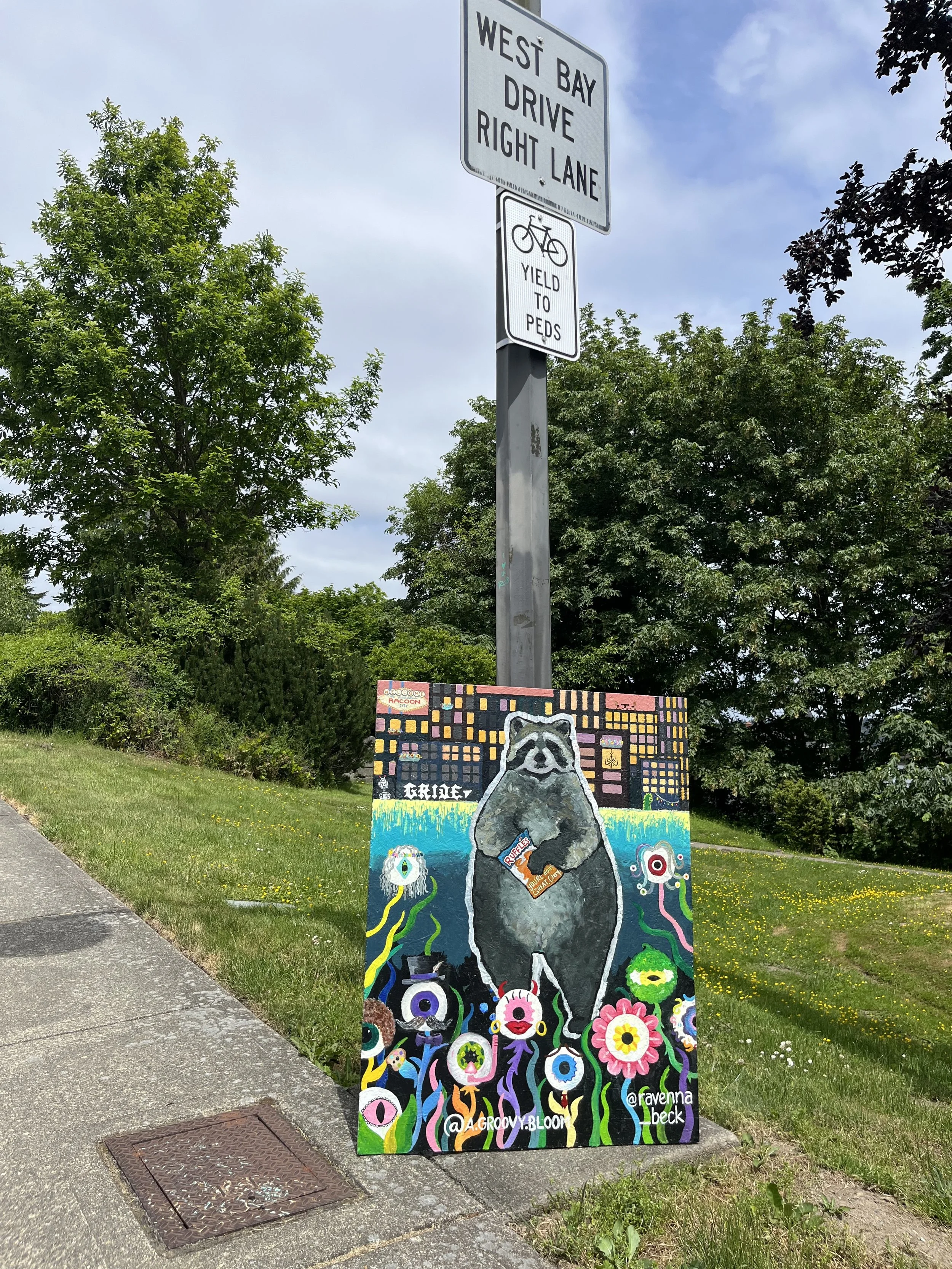 Welcome to Raccoon City - Collaborative Public Art Experiment with @a.groovy.bloom