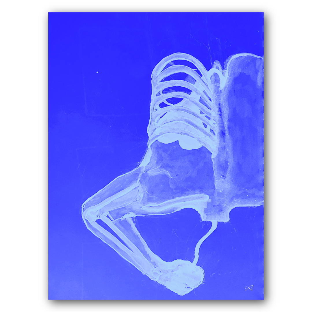 35d78e95-eba1-405c-ac33-85c6c85dd939_rw_1200.png