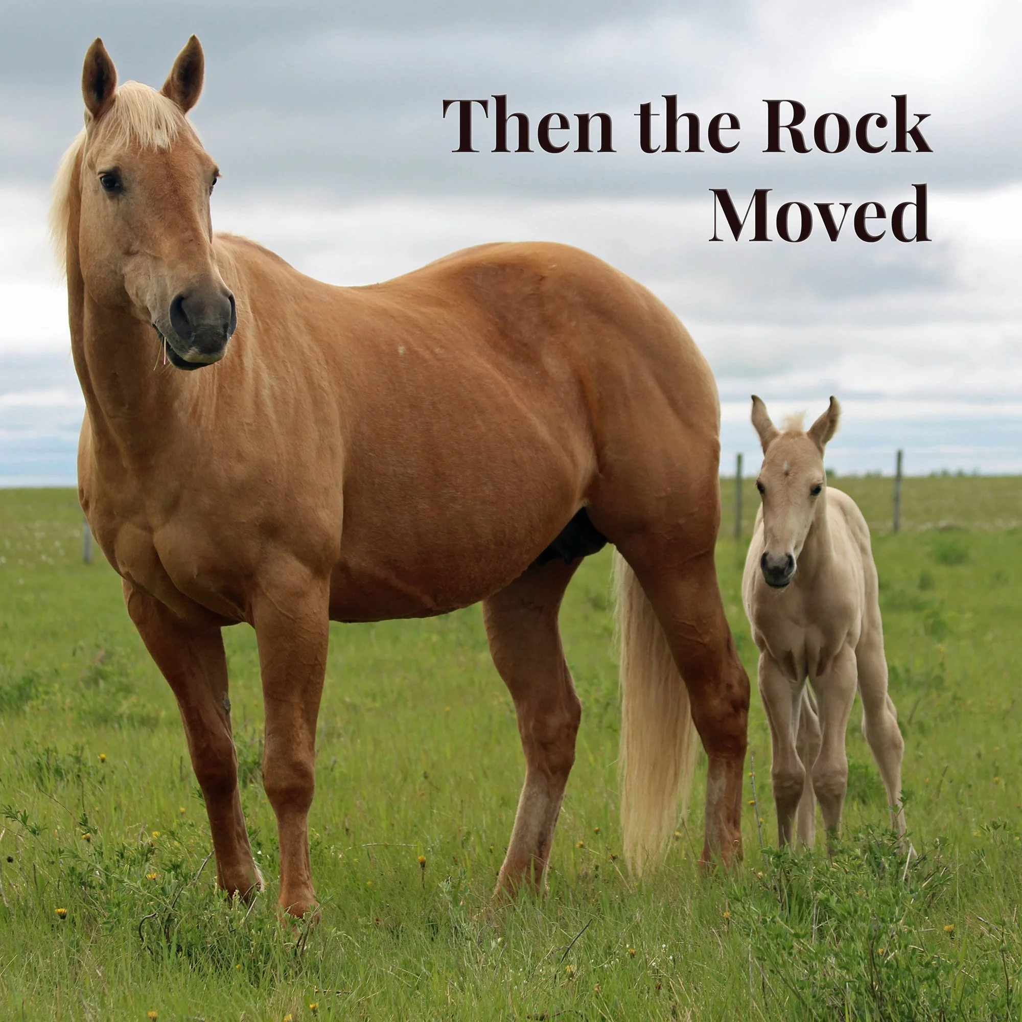 When the rock moved, I understood what the mares were guarding.