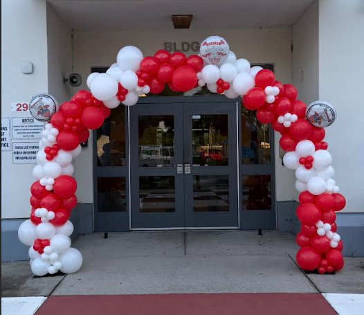 10x8 Balloon Arch- Starting at $600
