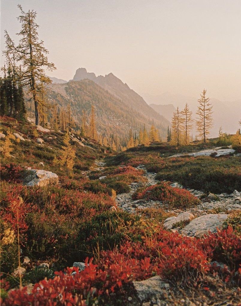 A mountainous landscape with a dirt trail, rocks, and low bushes in the foreground, tall trees on the hillside, and rugged mountain peaks in the background under a clear sky.