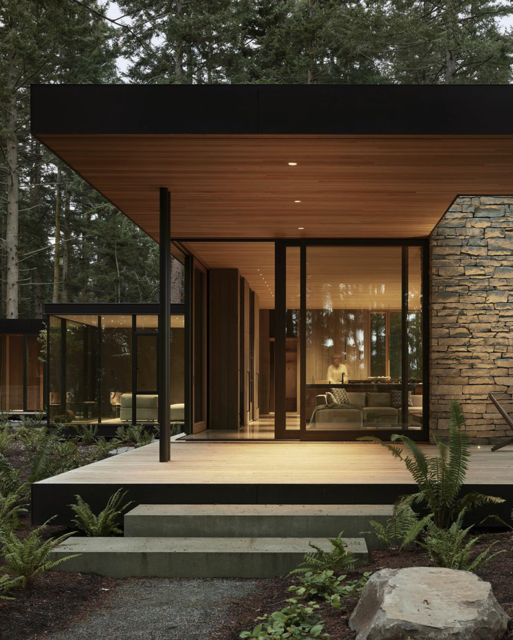 A modern house with a flat roof, large glass windows, and a combination of black, wood, and stone exterior walls, surrounded by trees and plants.