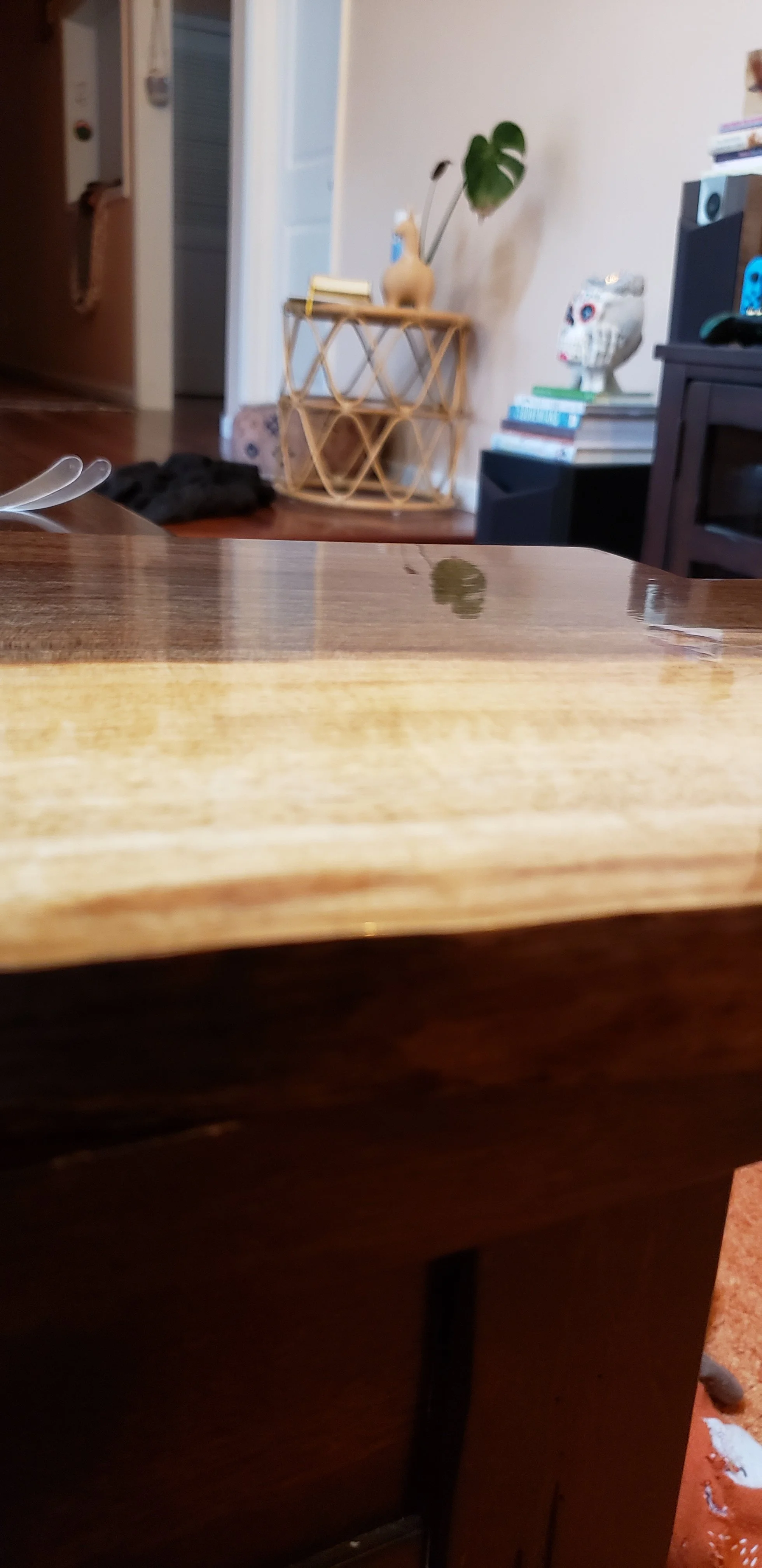 20201115_150634.jpg