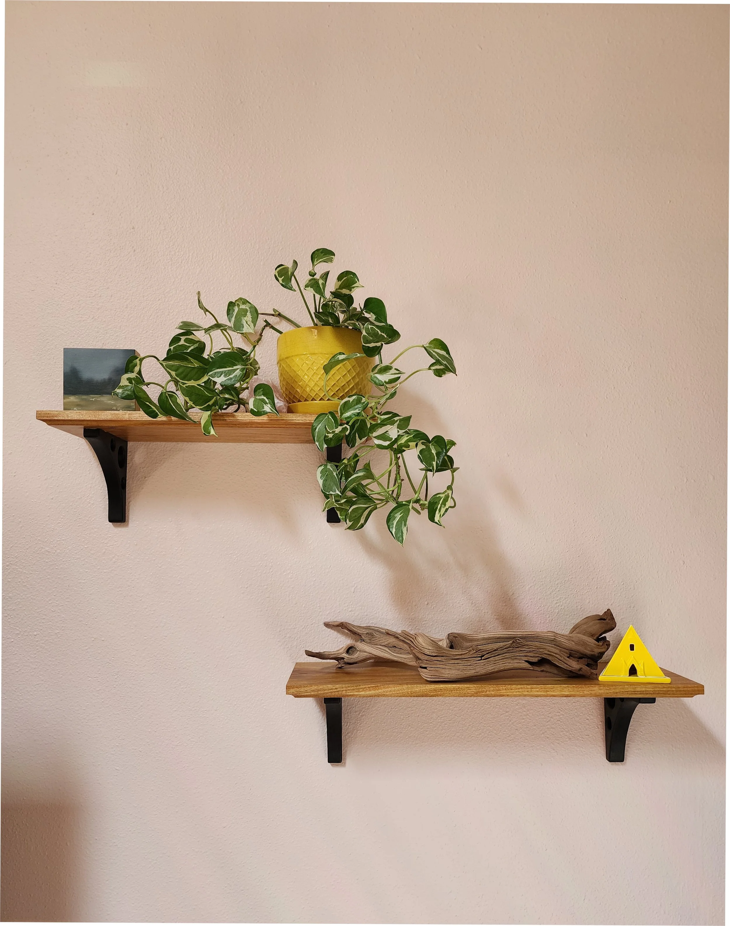 Canarywood Floating Shelves