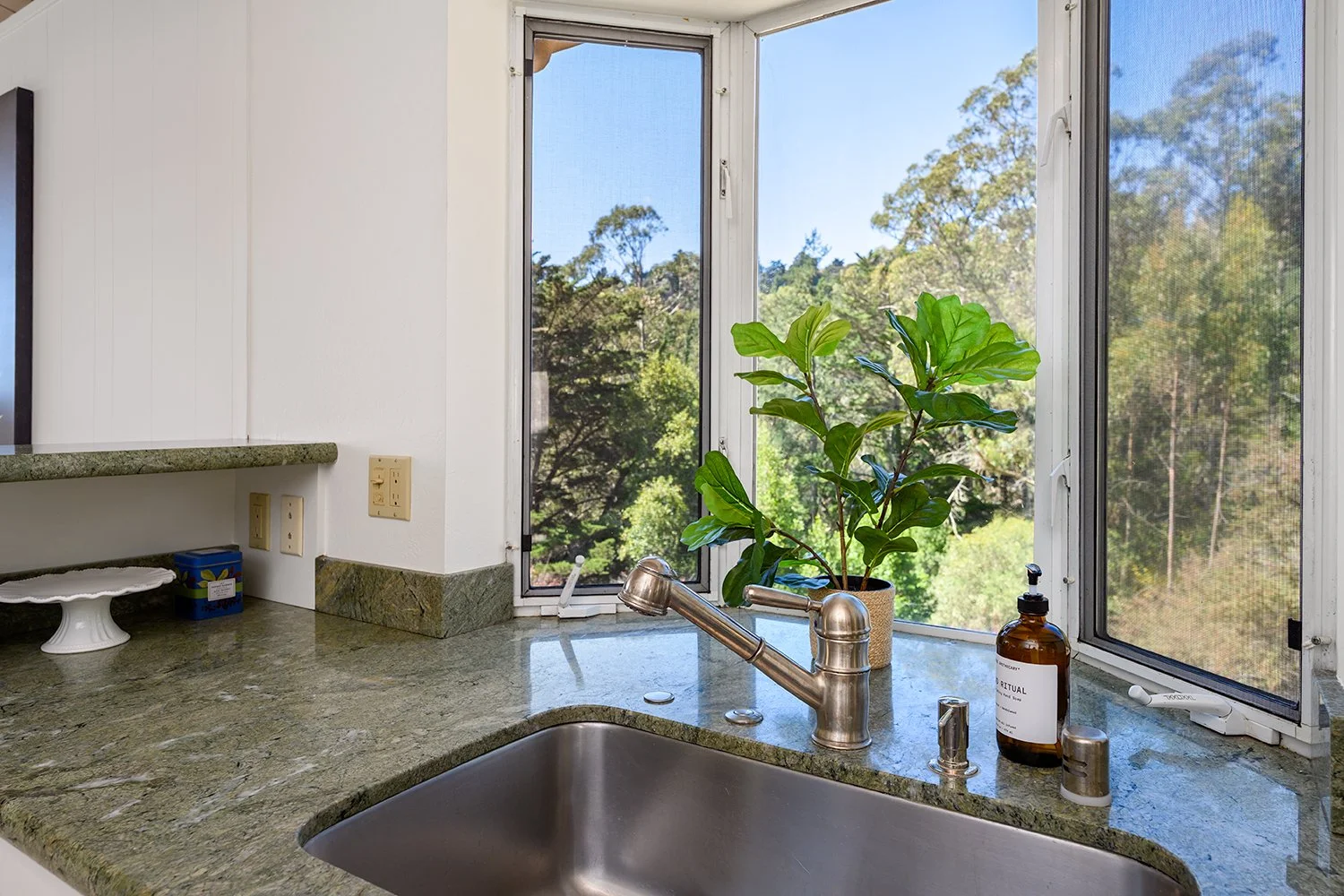 Kitchen sink area with a green marble countertop, a stainless steel faucet, a potted plant, a soap dispenser, and a window showing trees and blue sky outside.