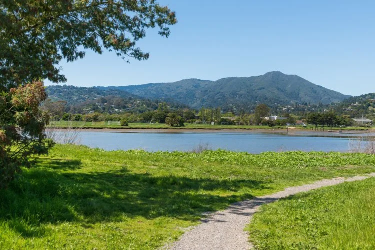 A scenic view of a lake with green grass and a dirt path in the foreground, trees on the left, and mountains in the background on a clear sunny day.