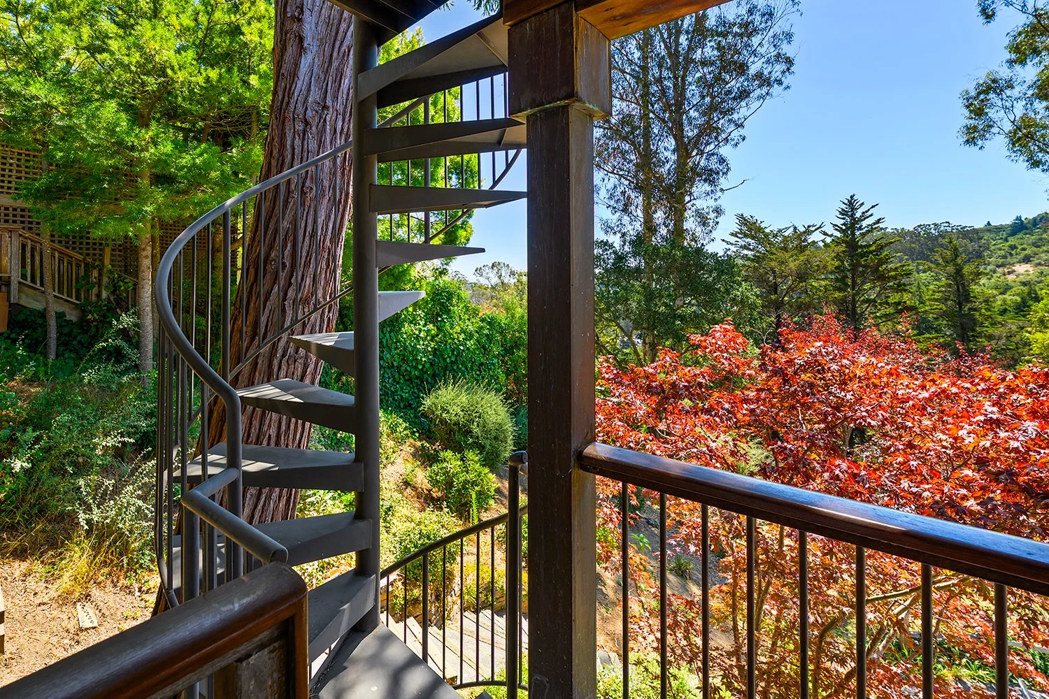A outdoor spiral staircase with metal railings leading down amidst lush green trees and bushes, with a red-leafed tree in the background under a bright blue sky.
