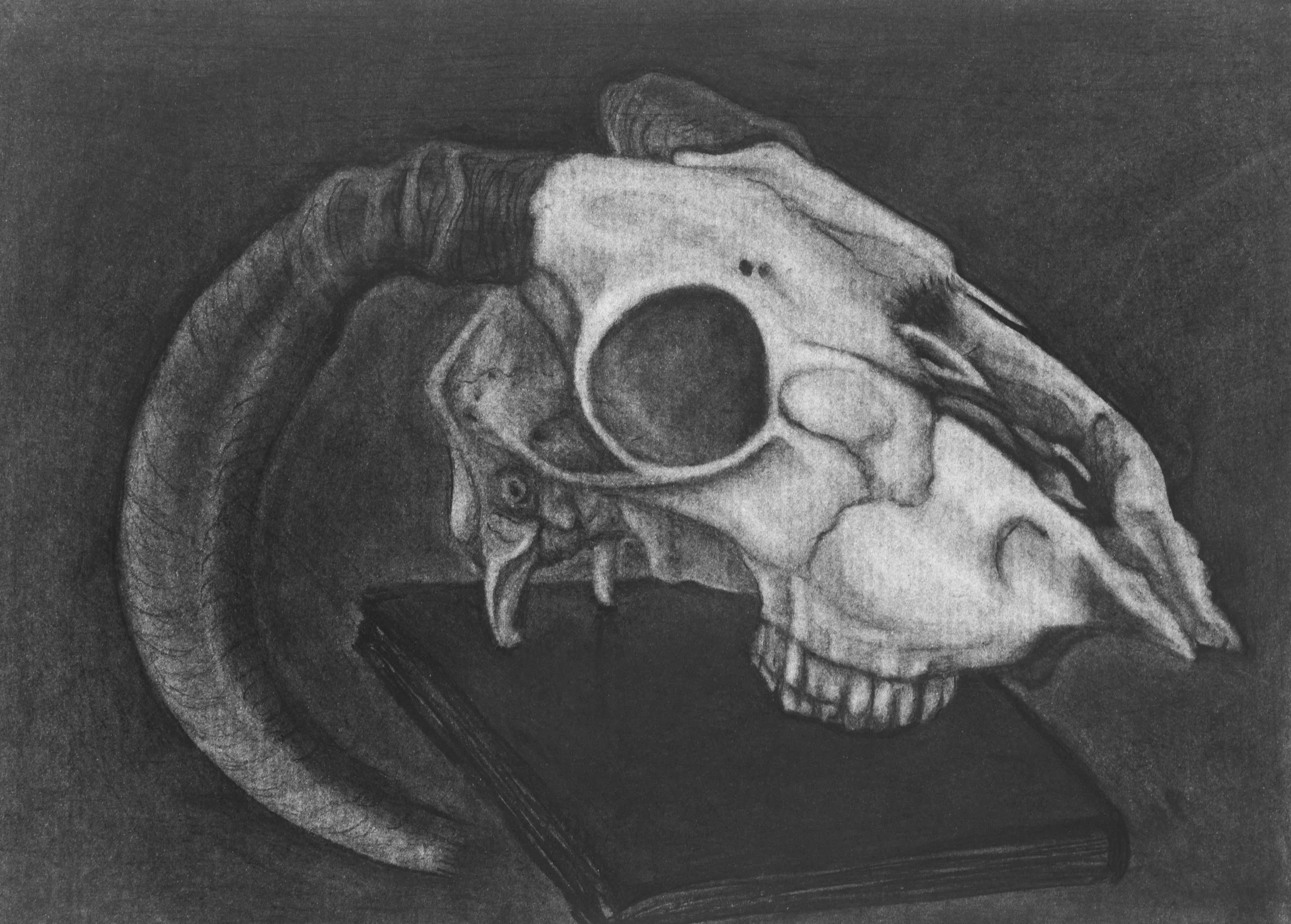Colvin_Justine_4_La Dia de los Muertos.jpg