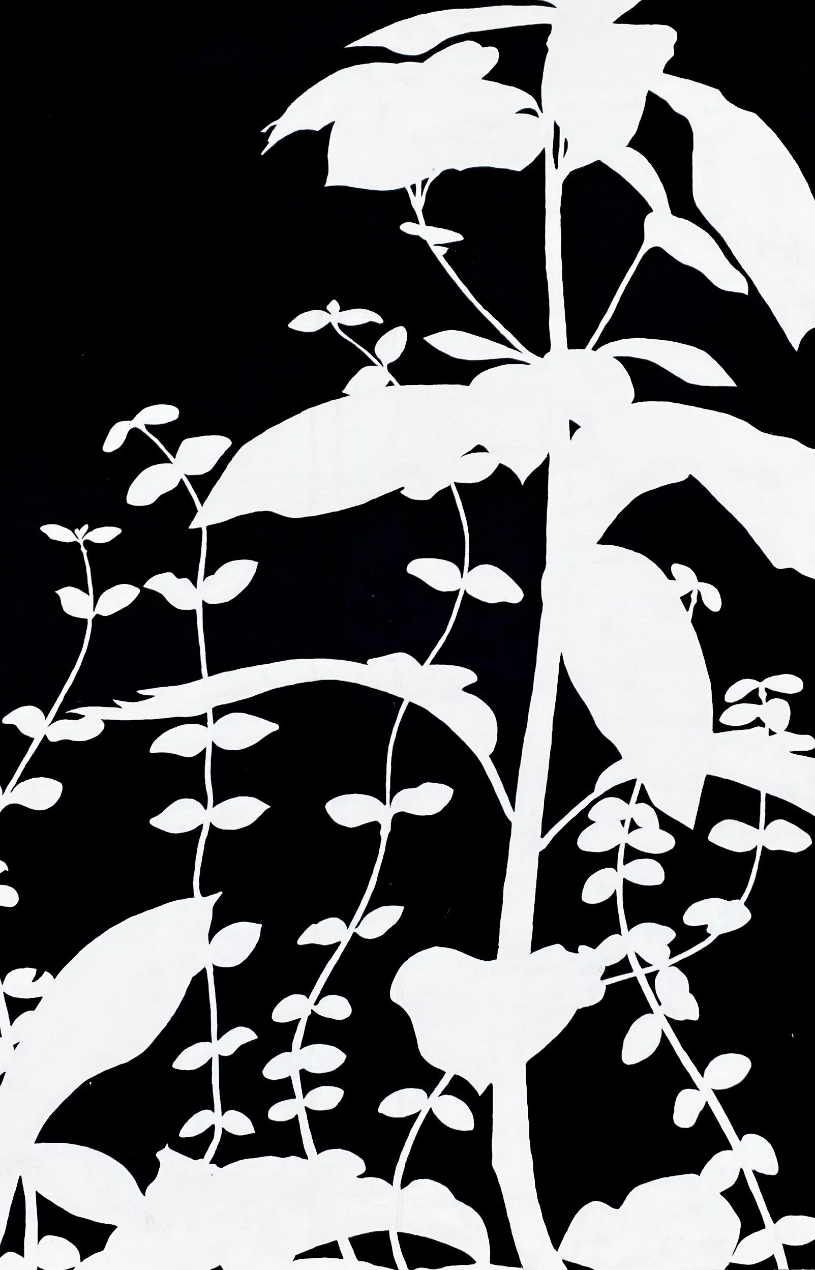 plants (1).jpeg
