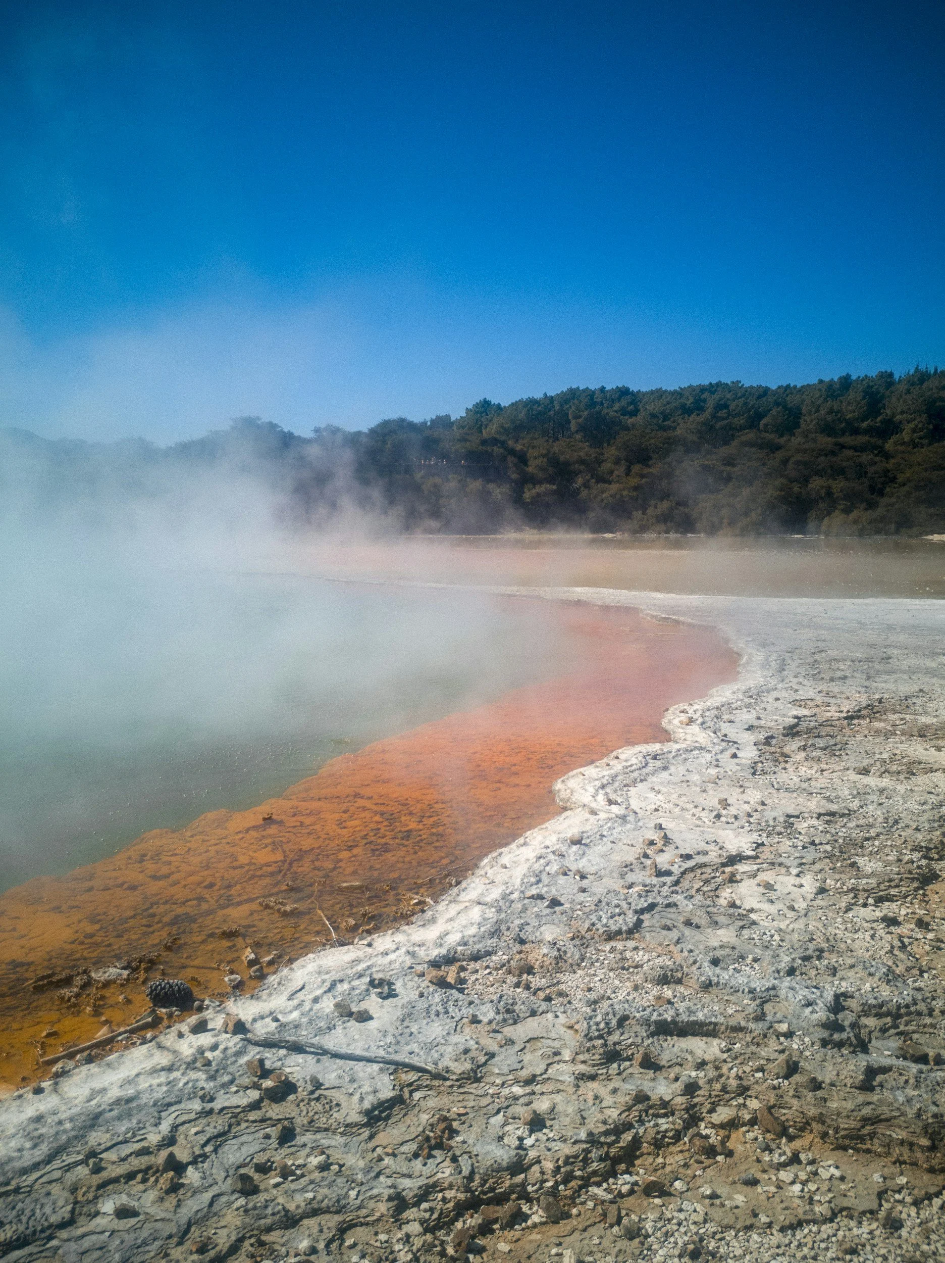 Geothermal hot pool and colourful mineral terraces in Rotorua.
