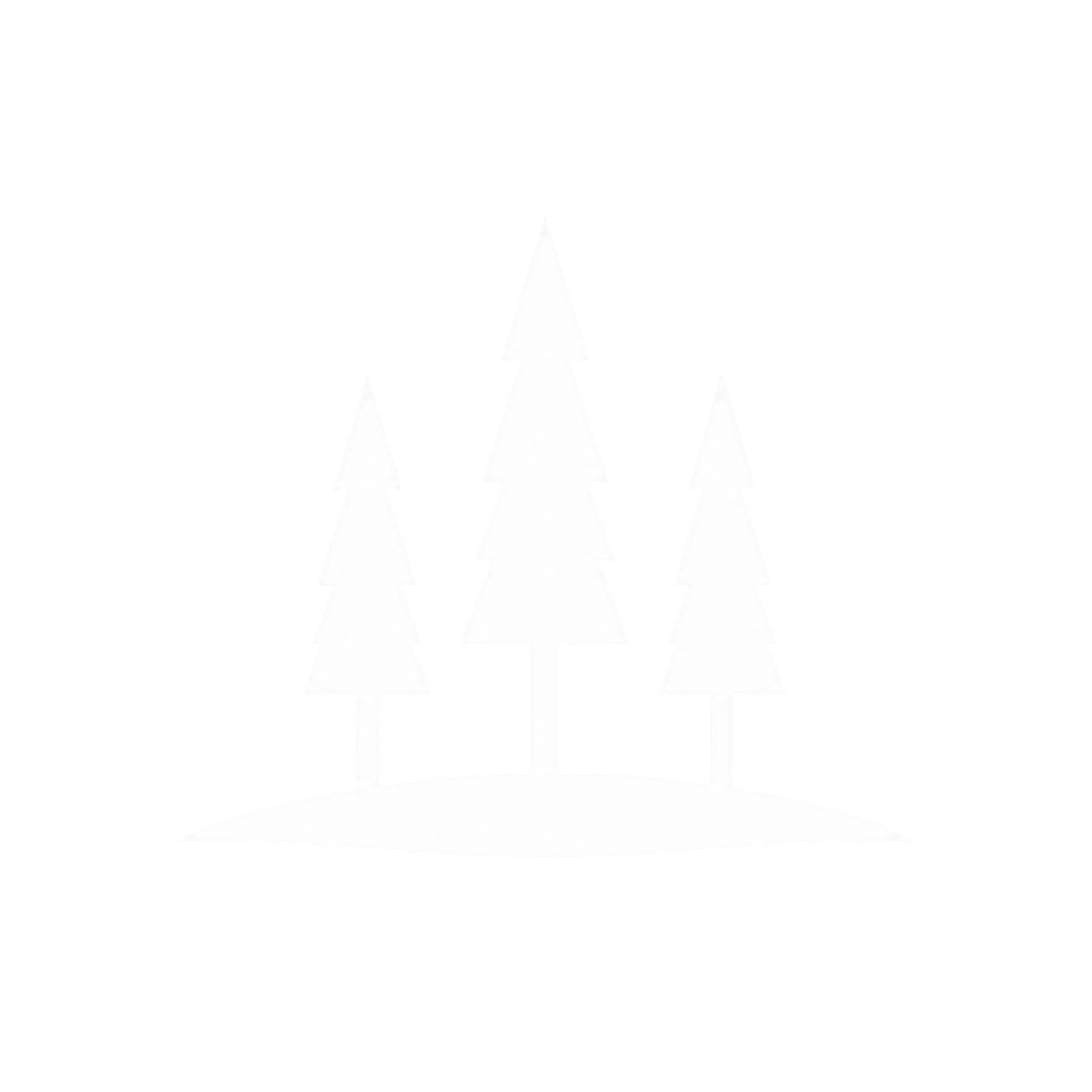 Icon representing Rotorua attractions and outdoor experiences