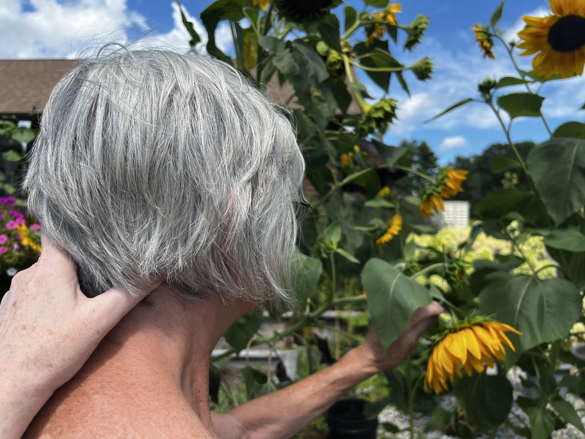 Beth Daily performs Alexander Technique on senior in garden.