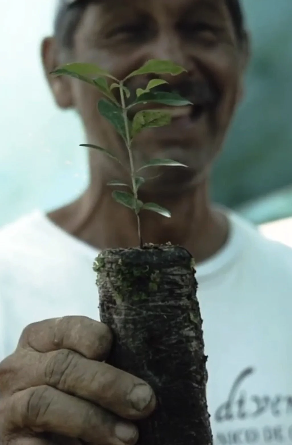 A man holding a small potted plant with green leaves and a visible root system, smiling in the background.