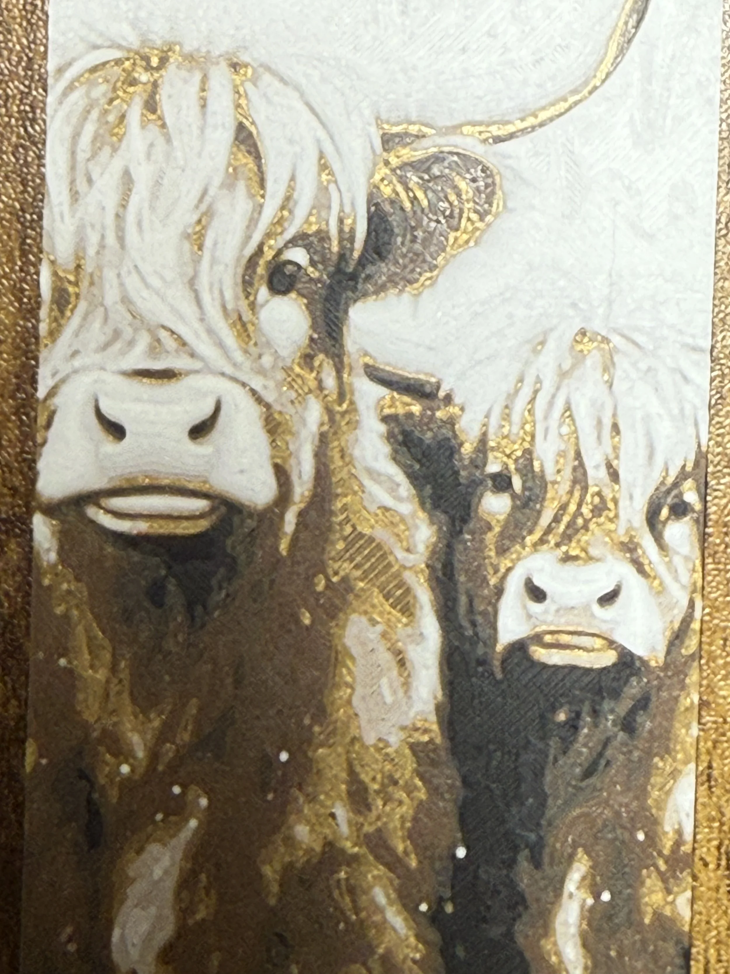 Highland_Coo_closeup.jpeg