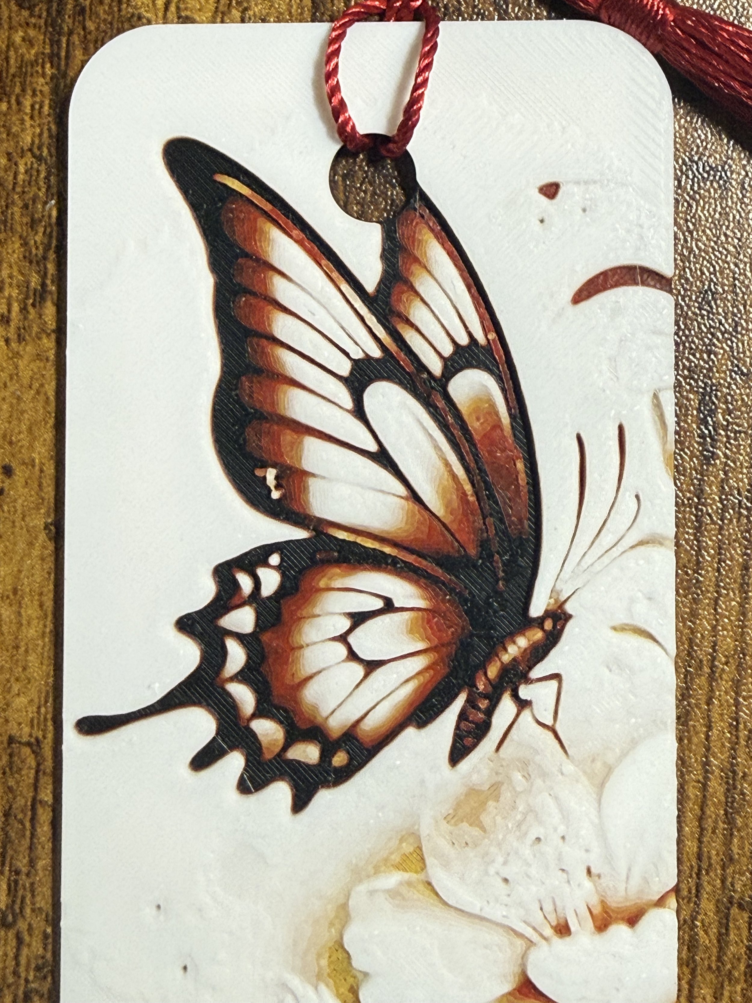 Butterfly_blossum_closeup.jpeg