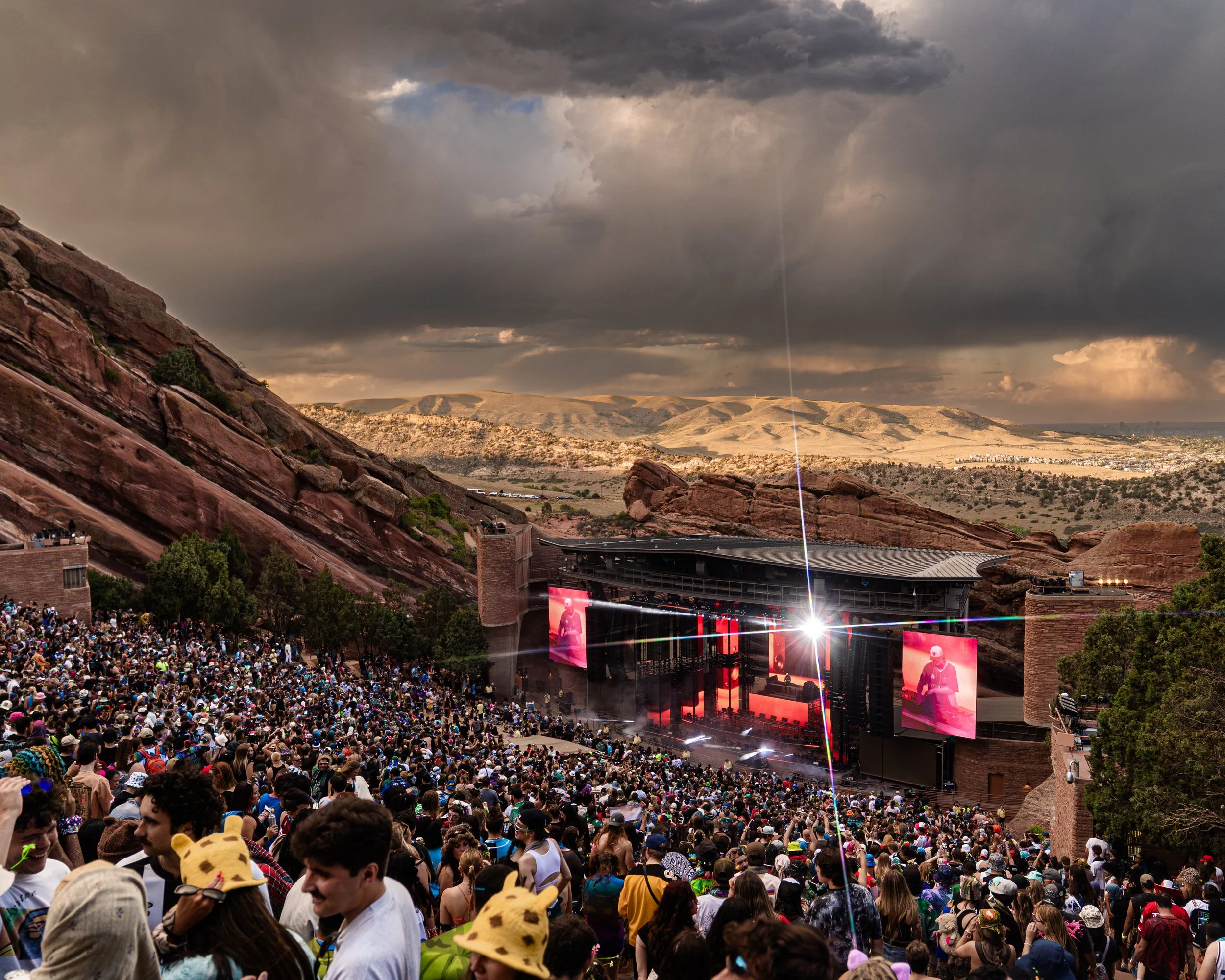 Wooli_TeddyPain_probCause_RedRocks_6.21.26-1.jpg