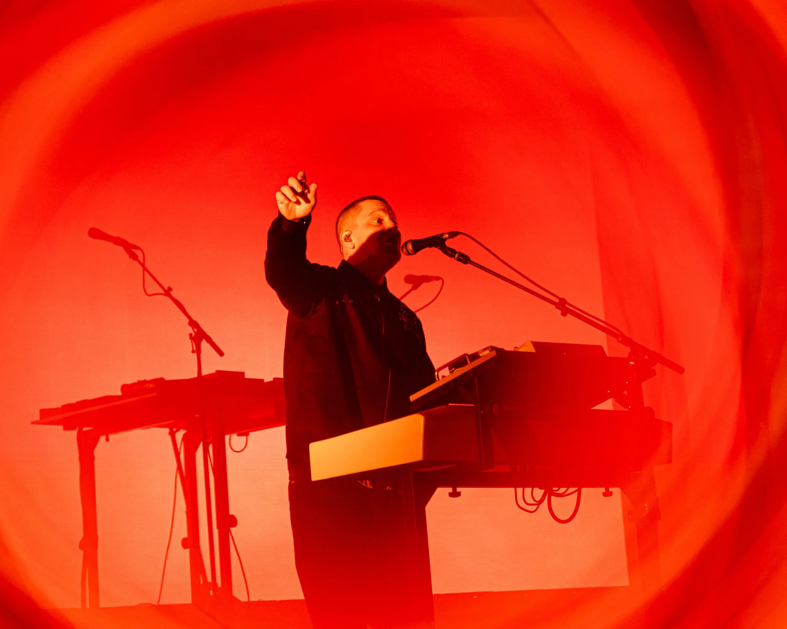 Jungle.RedRocks-16.jpg