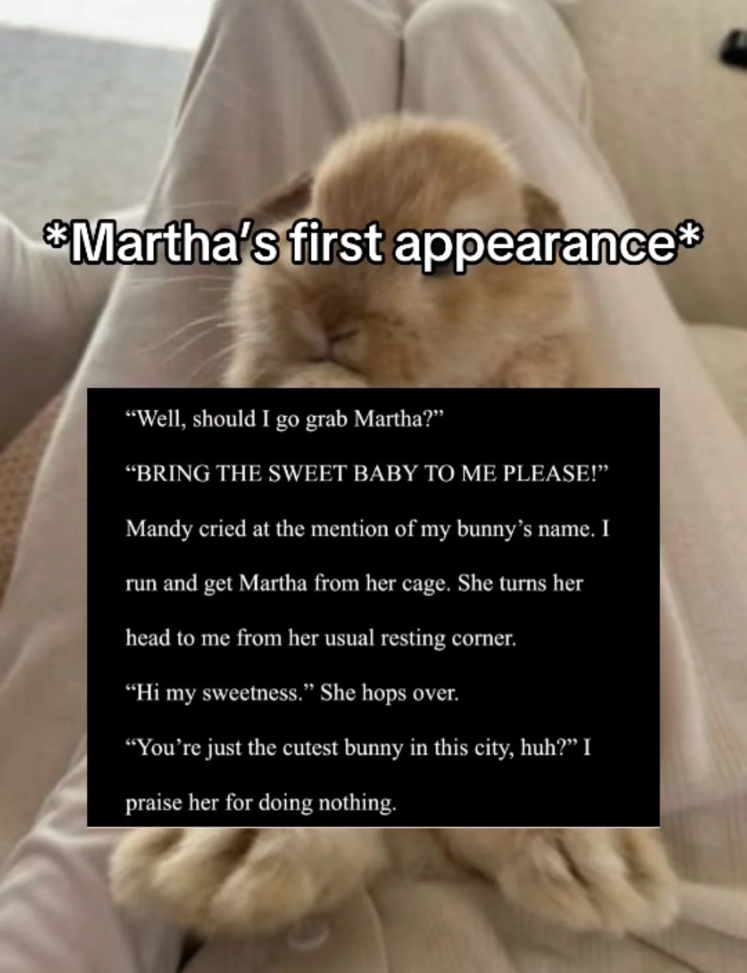 Martha&rsquo;s first appearance! #author #writer #writercommunity #authorcommunity #writersofinstagram
