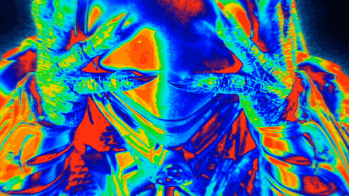 predator_04.gif