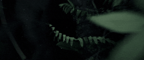 tf7_04.gif