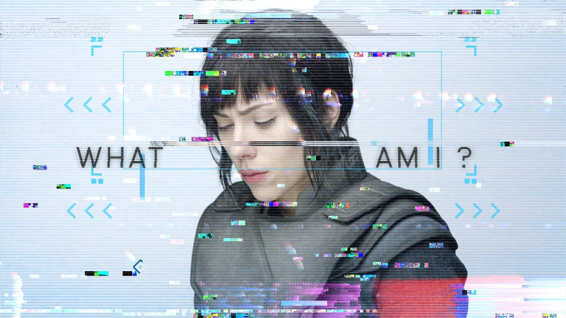 gits_10.jpg