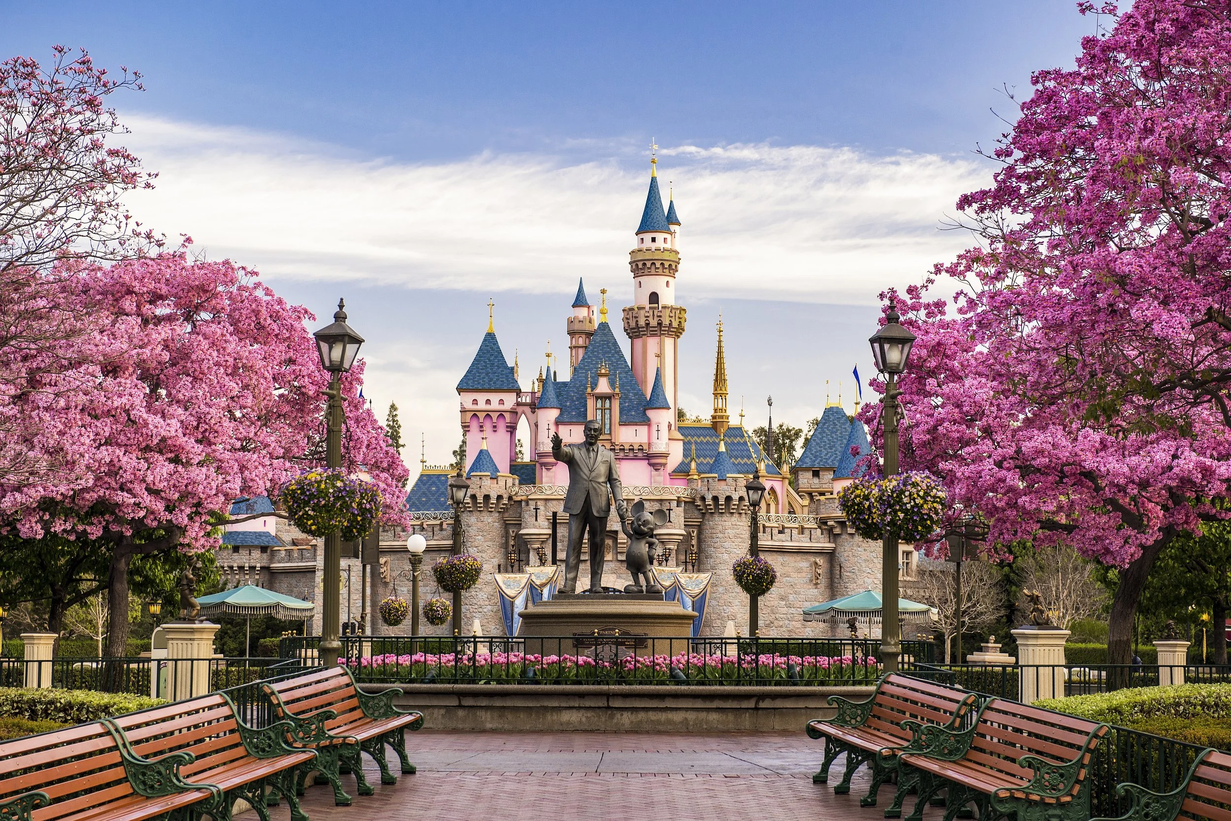 D23 Day at Disneyland Resort