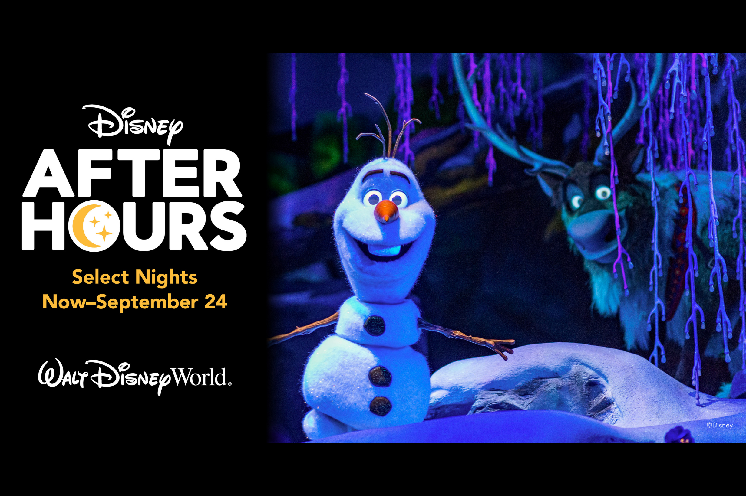 Disney After Hours at EPCOT
