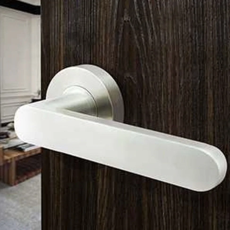 Close-up of a modern, white door handle mounted on a dark wooden door.