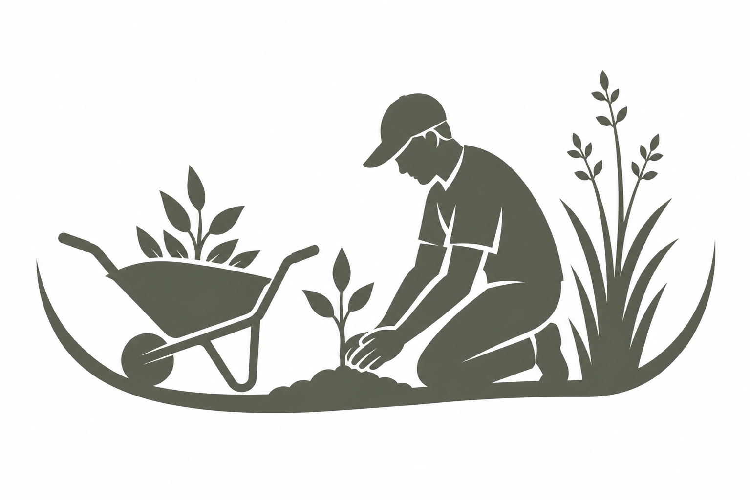 Yard Maintenance