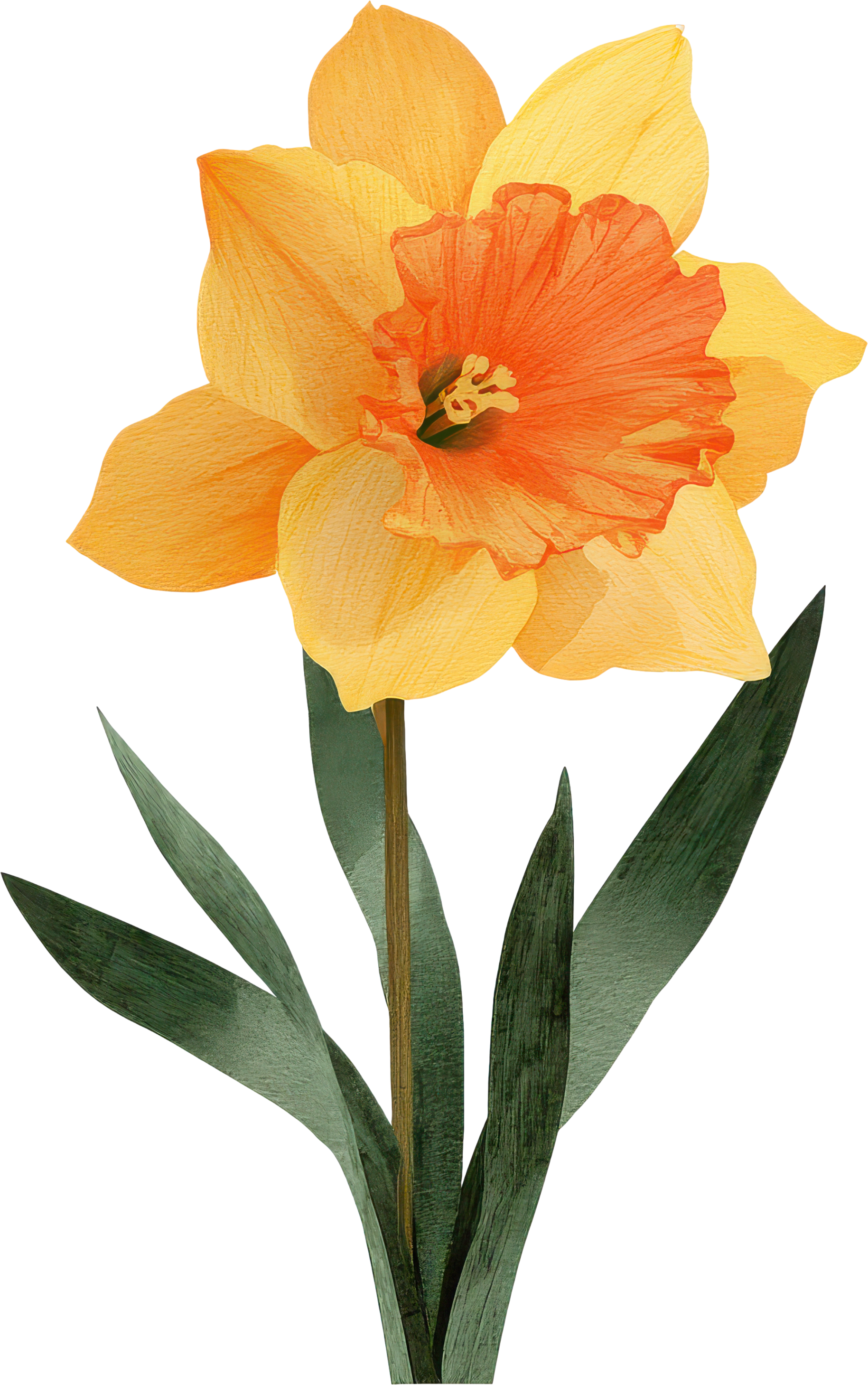 A vibrant yellow and orange flower with large petals and elongated green leaves.