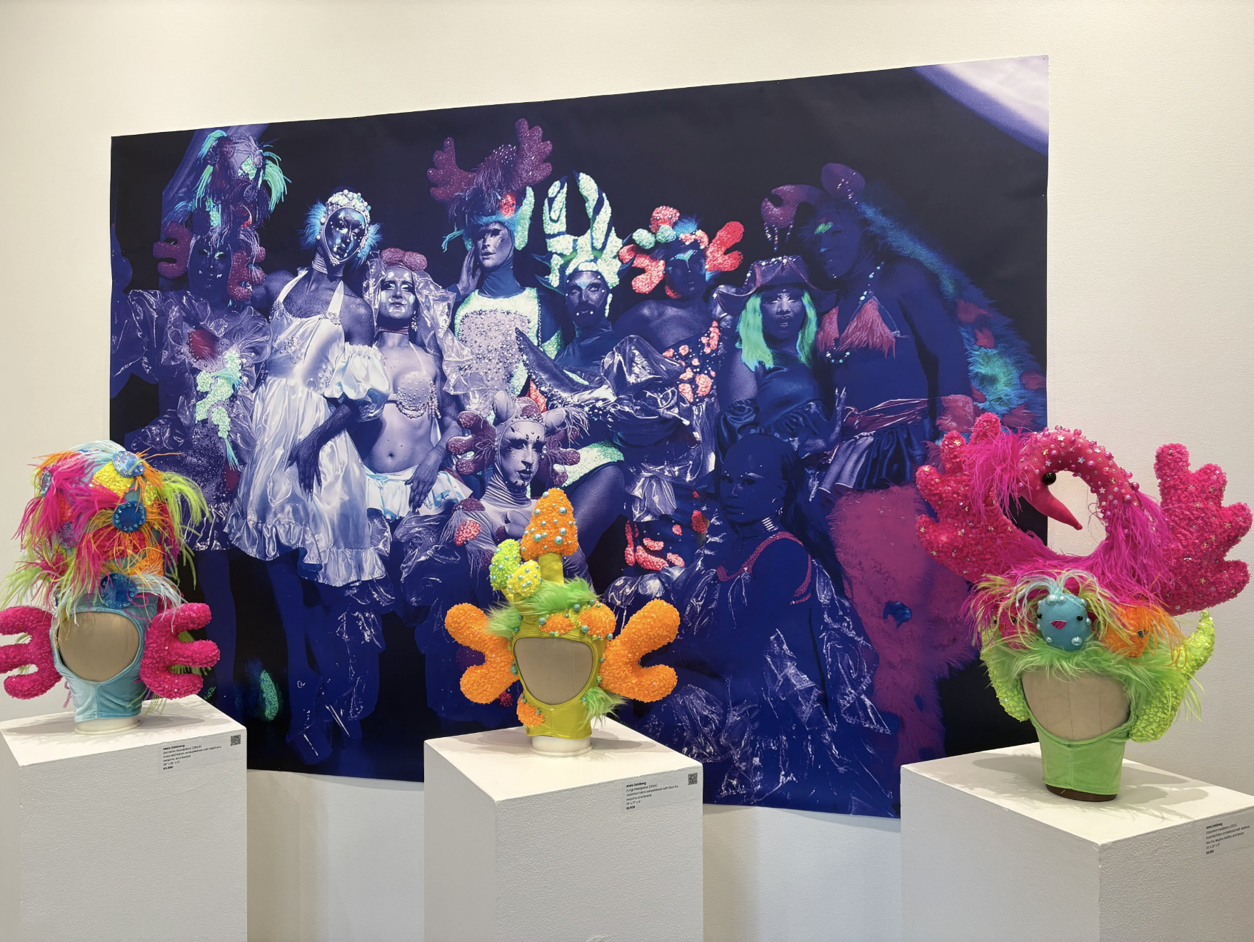 gallery shot