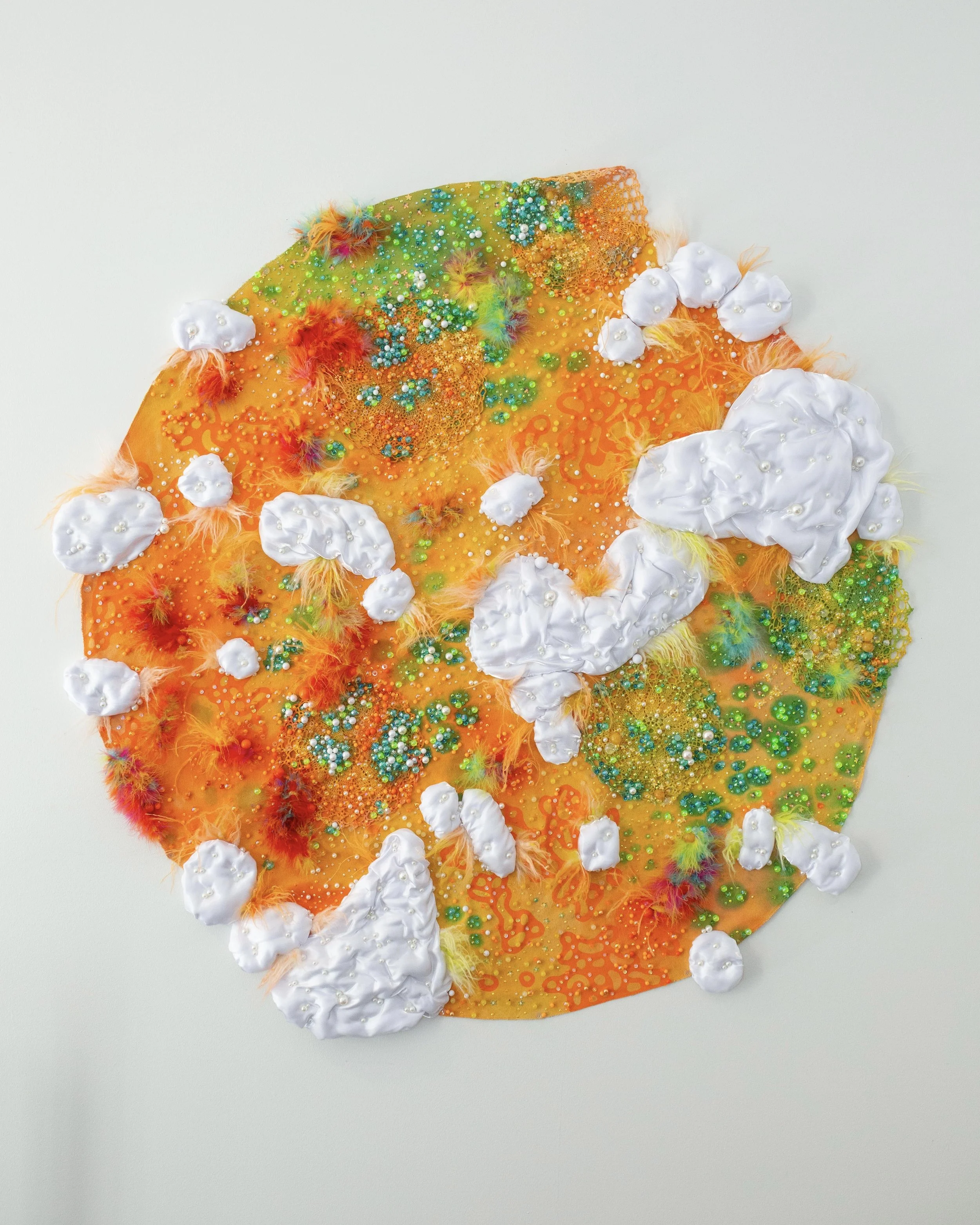 fruiting bodies, 2025