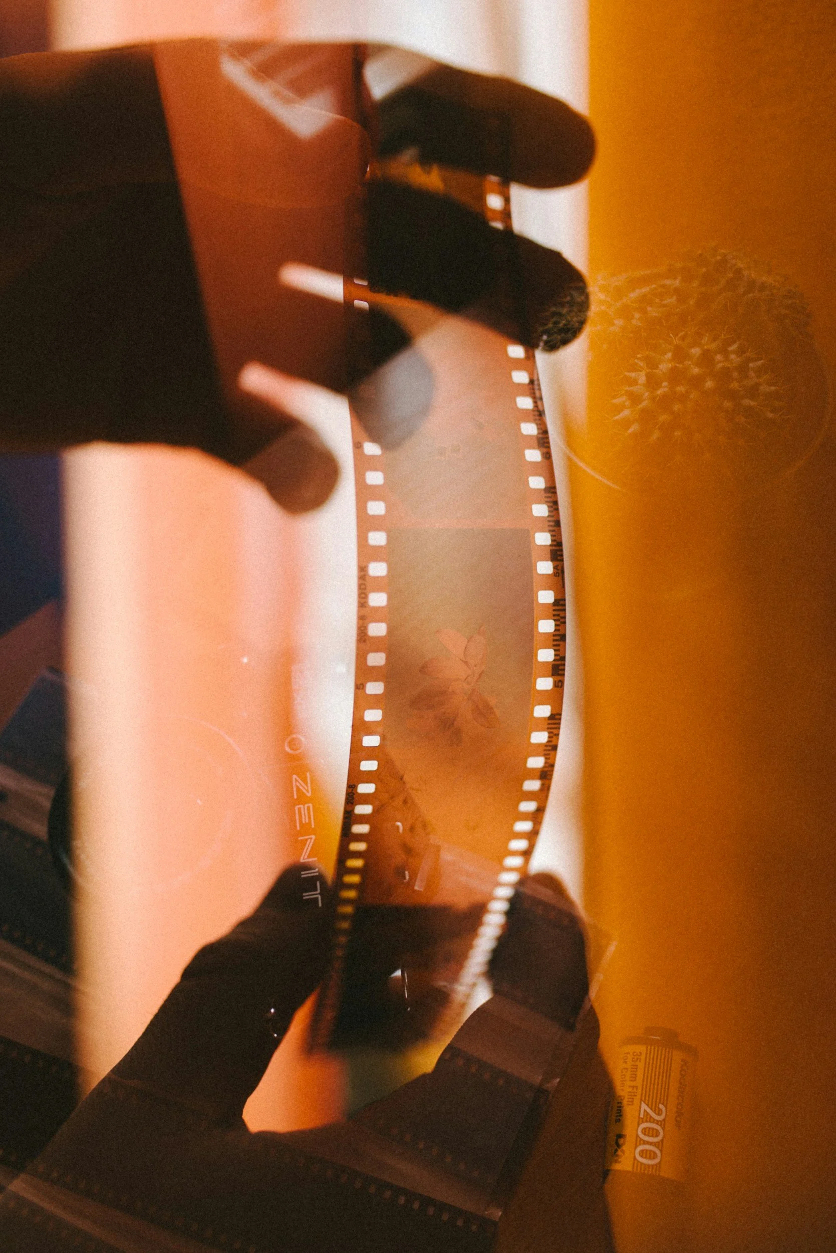 film tape held up to light