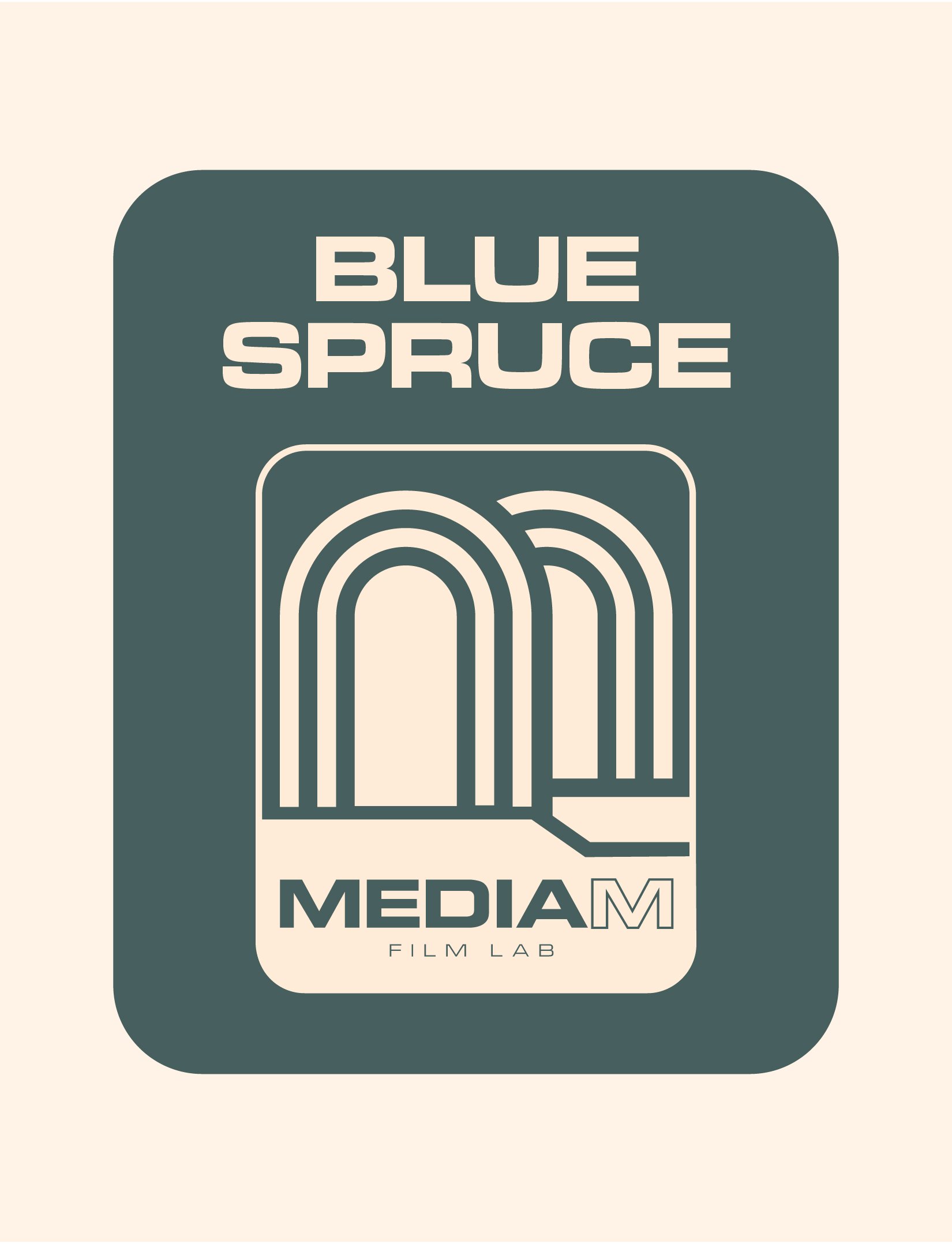 Blue Spruce.jpg