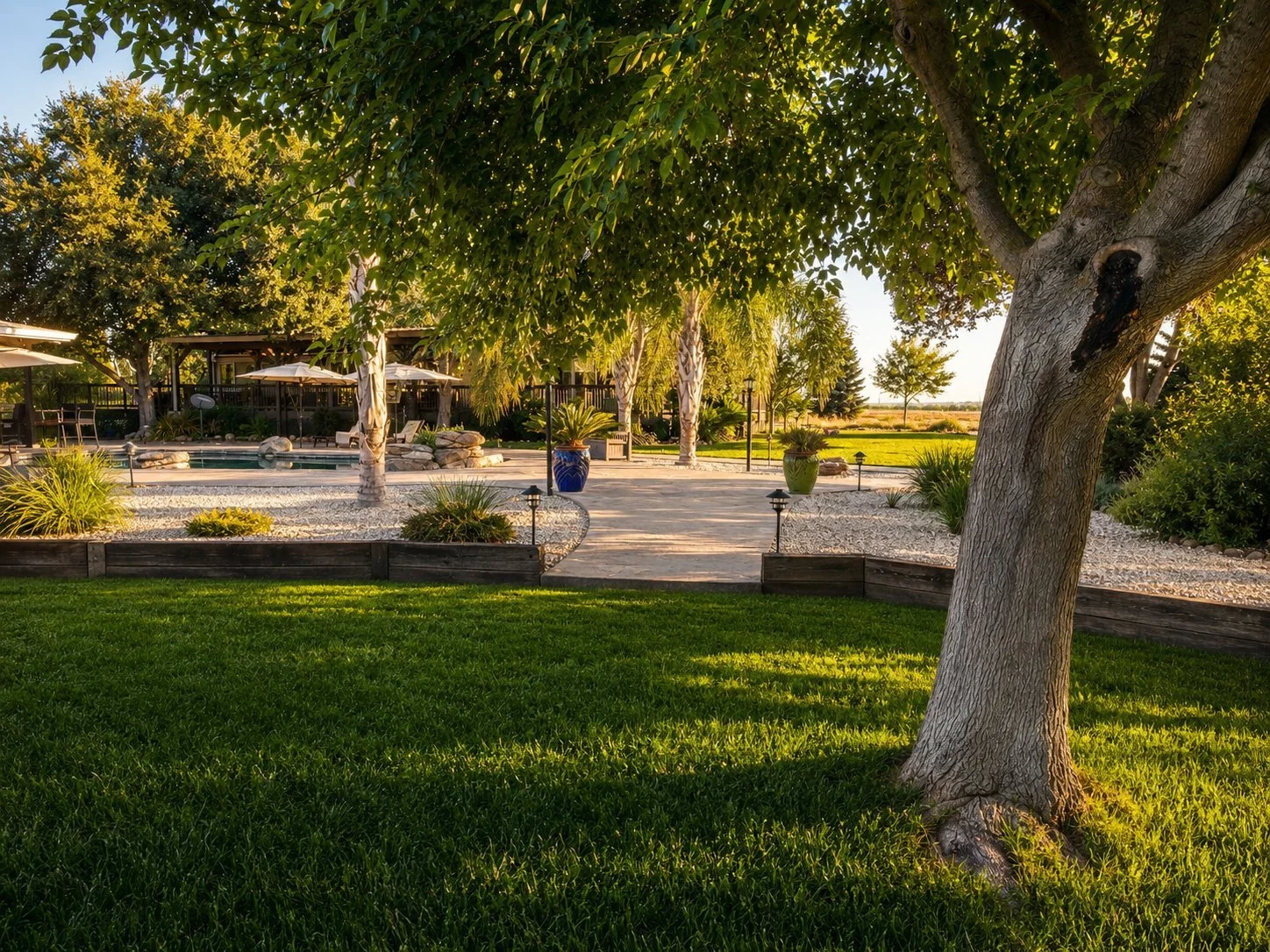 02-property-grounds-large-tree-orland-ca.jpg