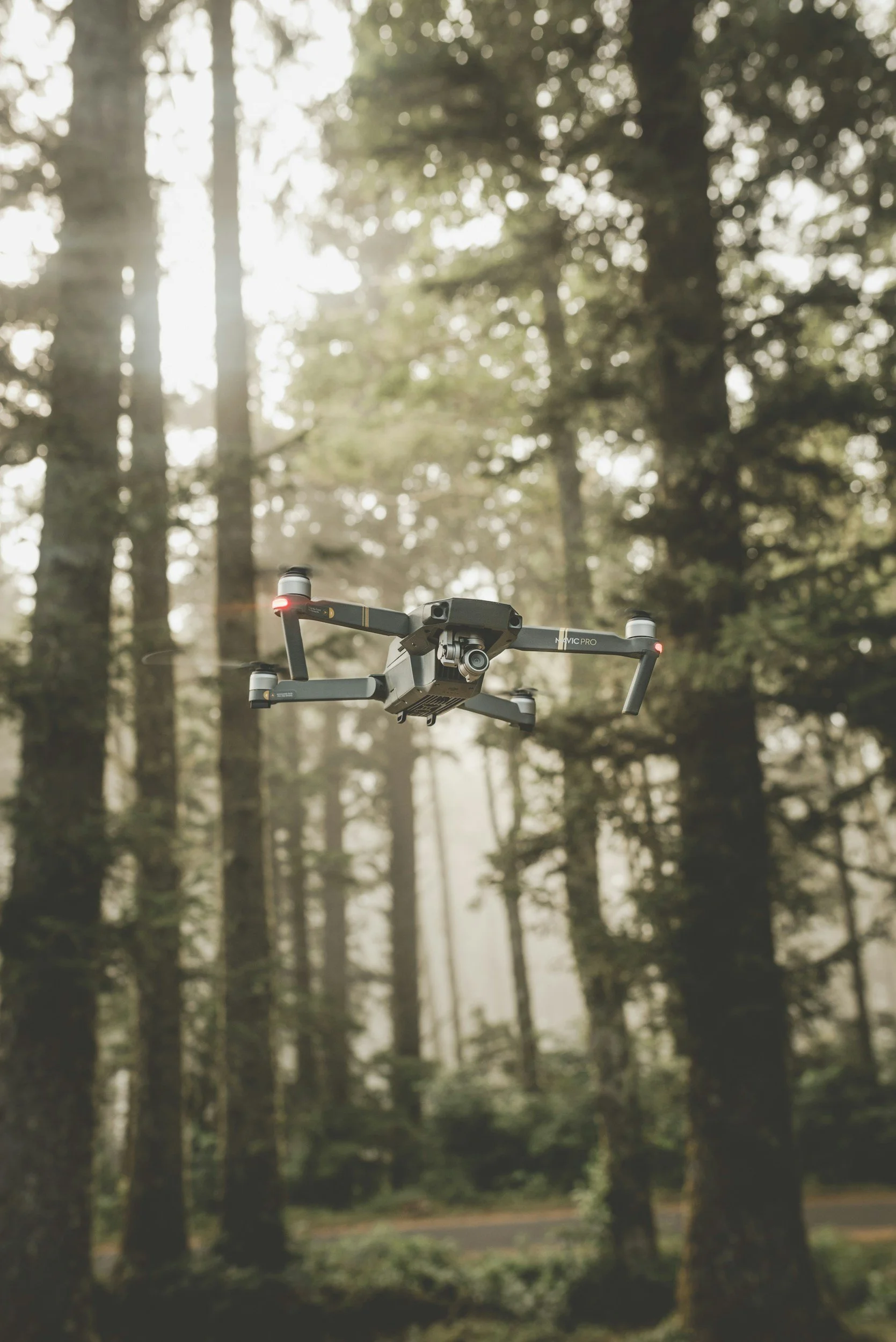 A drone flying in a forest with tall trees and sunlight filtering through the branches.