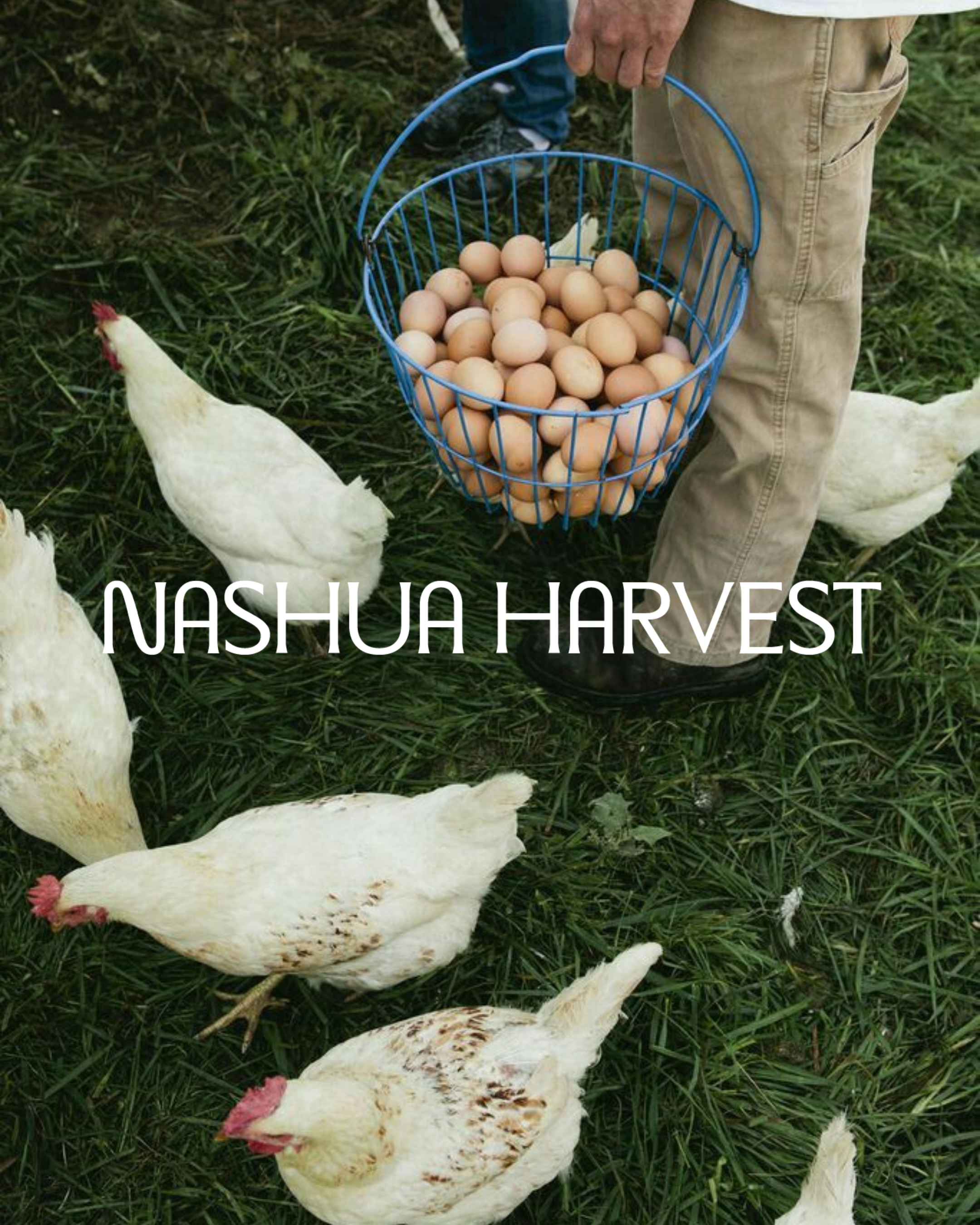 Nashua Harvest