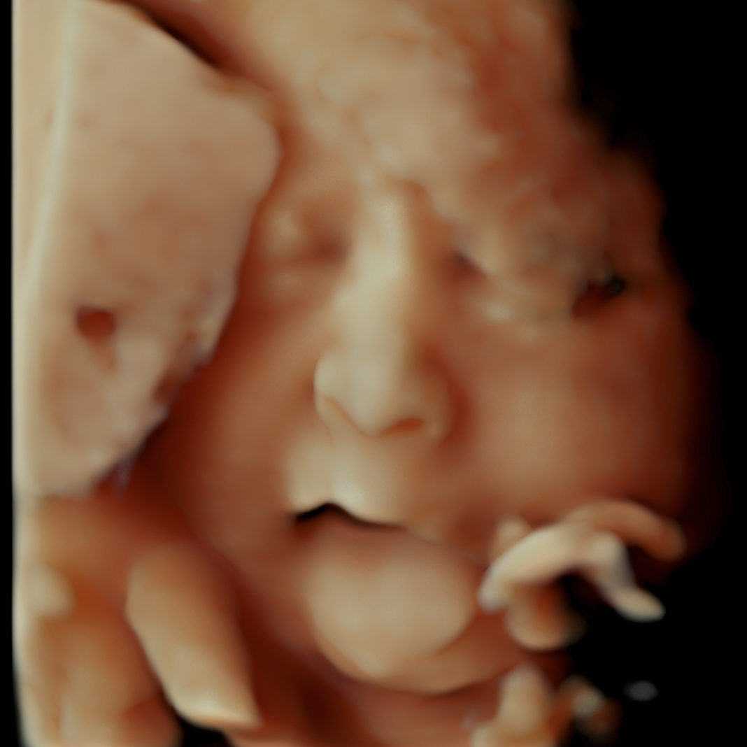 Close-up of a baby doll's face with closed eyes and detailed features.