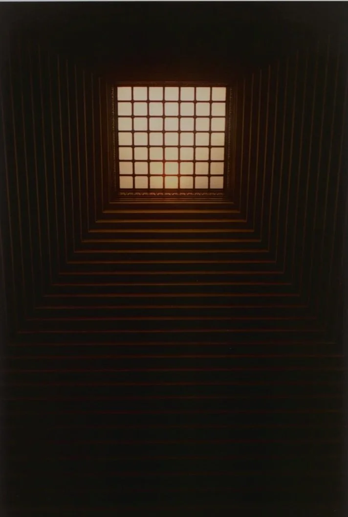 Homo faber: the constructed world